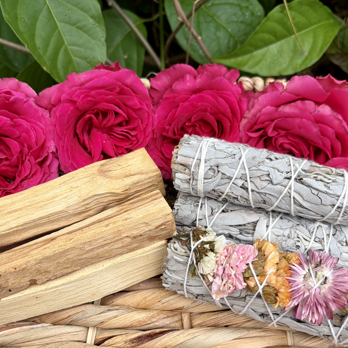 Palo Santo Sticks & Sage Wands. We also have Fresh White Copal.