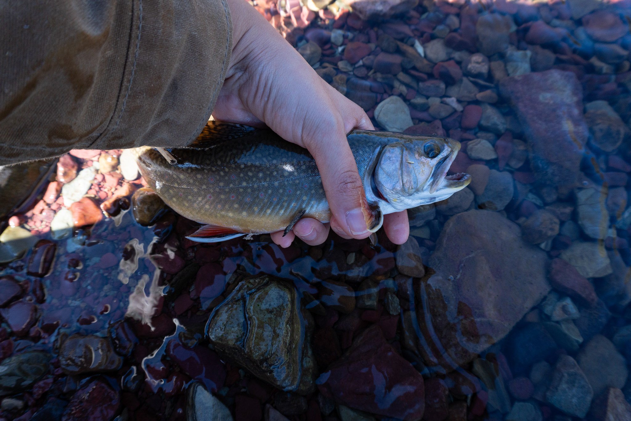Fishing in Glacier National Park