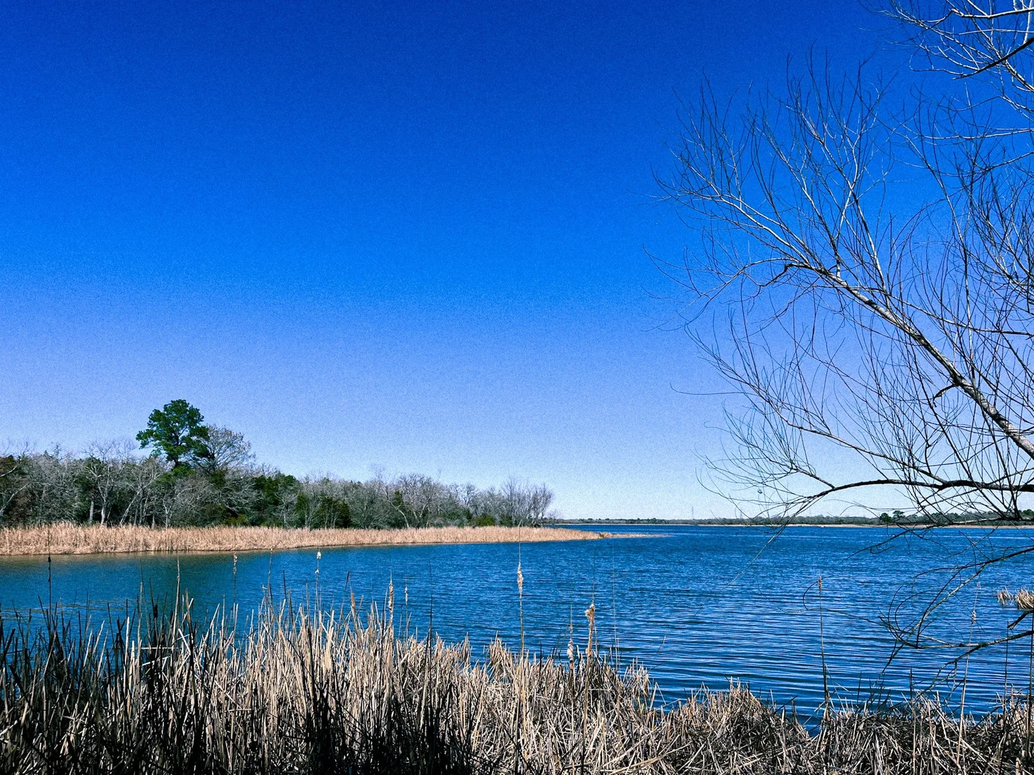 A Guide to Visiting Lake Bastrop South Shore LCRA Park | Roam the Outer ...