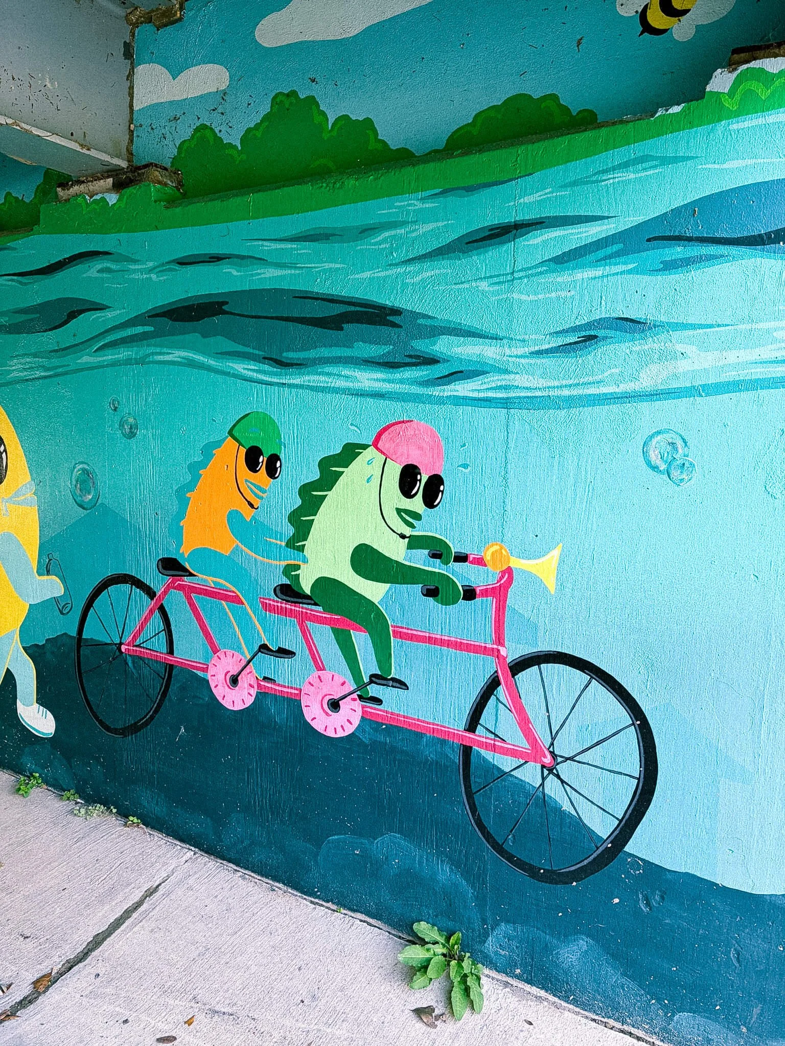 paved trail along creek Pflugerville