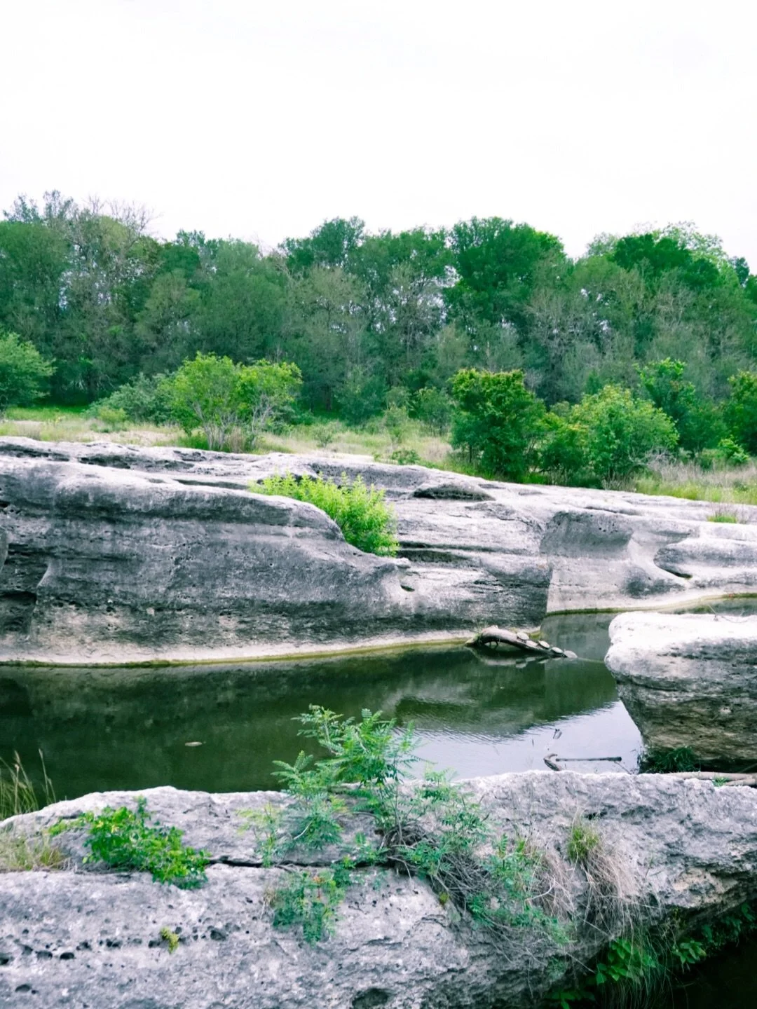A few shots from McKinney Falls SP 💚

#texasstatepark #mckinneyfalls #texastrails