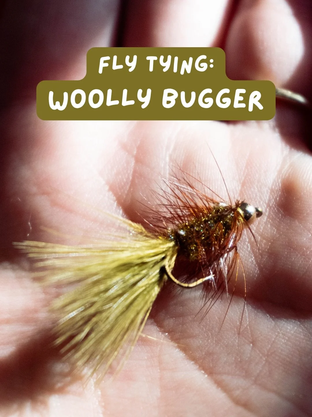 Mainly made this photo journal, so I didn&rsquo;t forget how to tie this Woolly Bugger pattern after a class 🐛🐛🐛

Very excited to fish it this weekend. 

And shout out to @livingwatersflyfishing for the beginner fly tying class. Highly recommend i