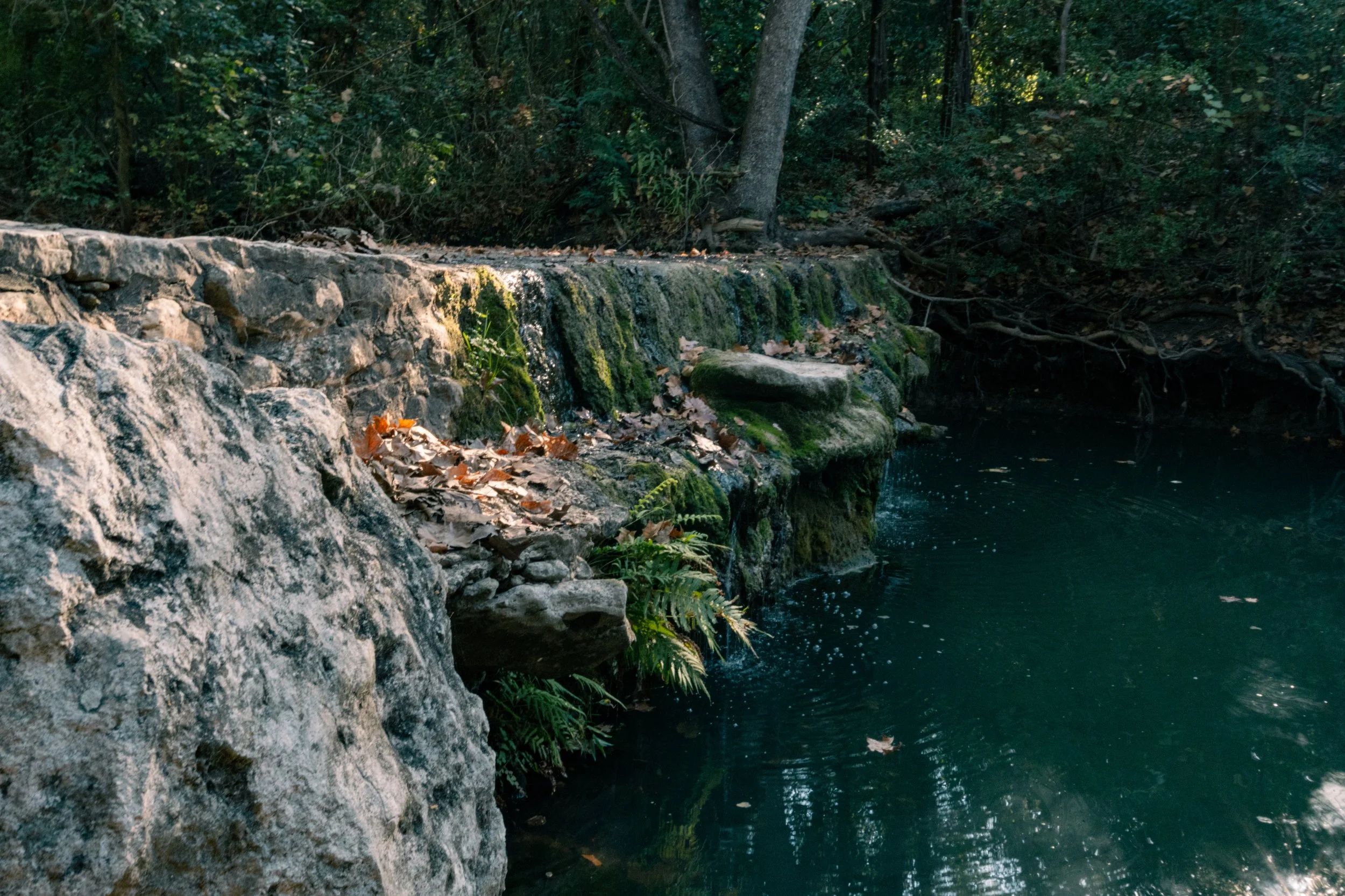 spicewood valley trail