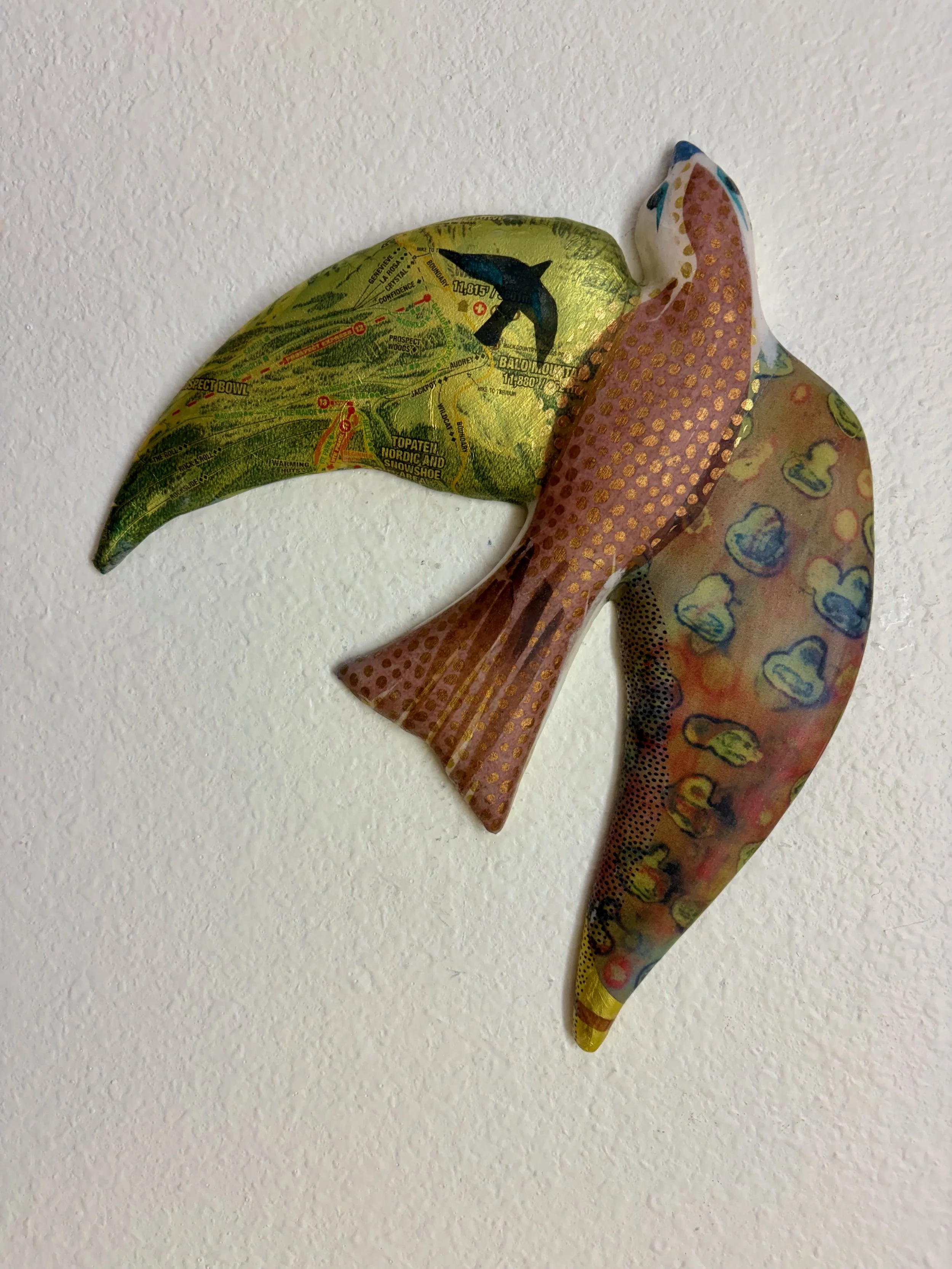 Rainbows and Swallows