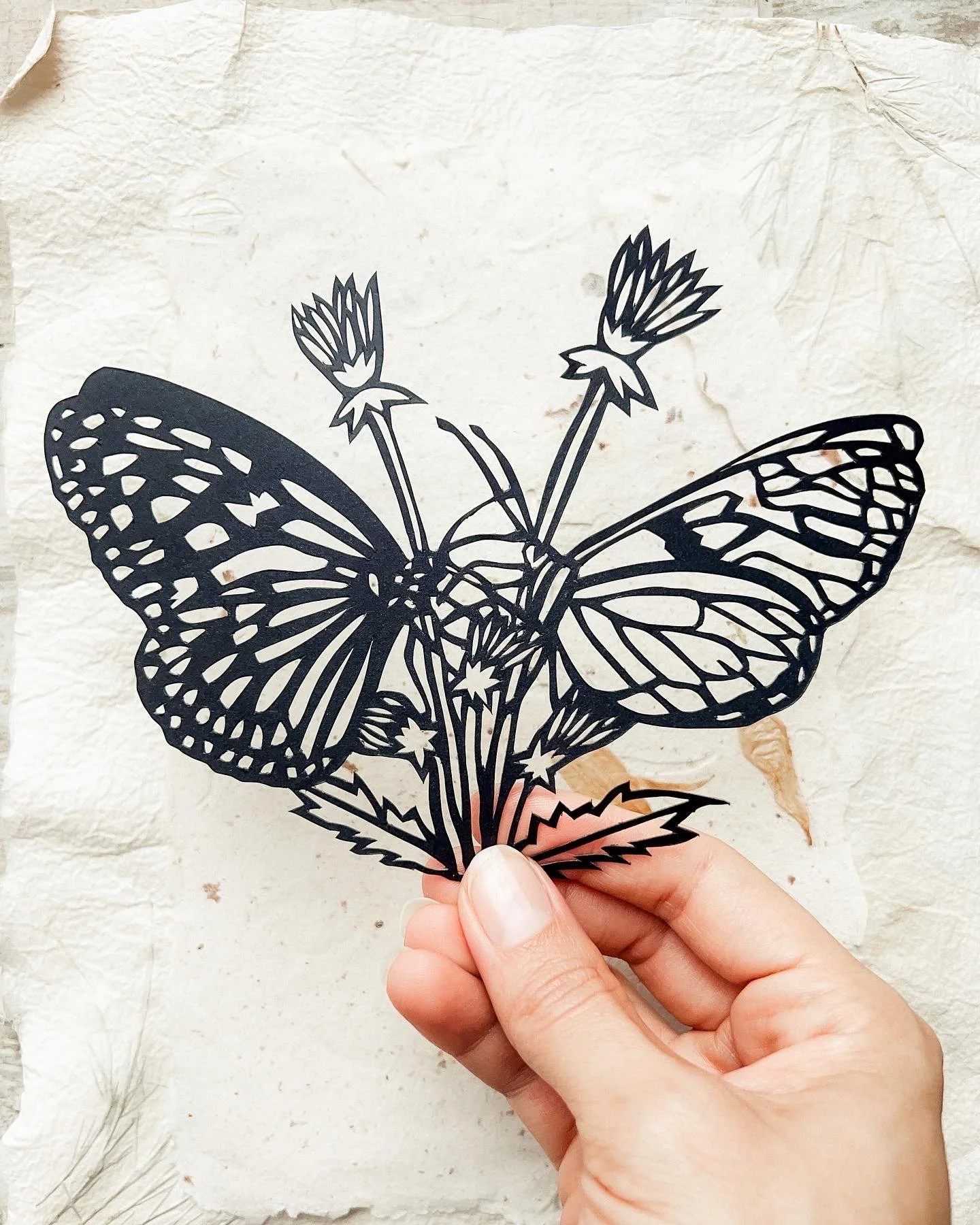 Radina Butterflies .JPG