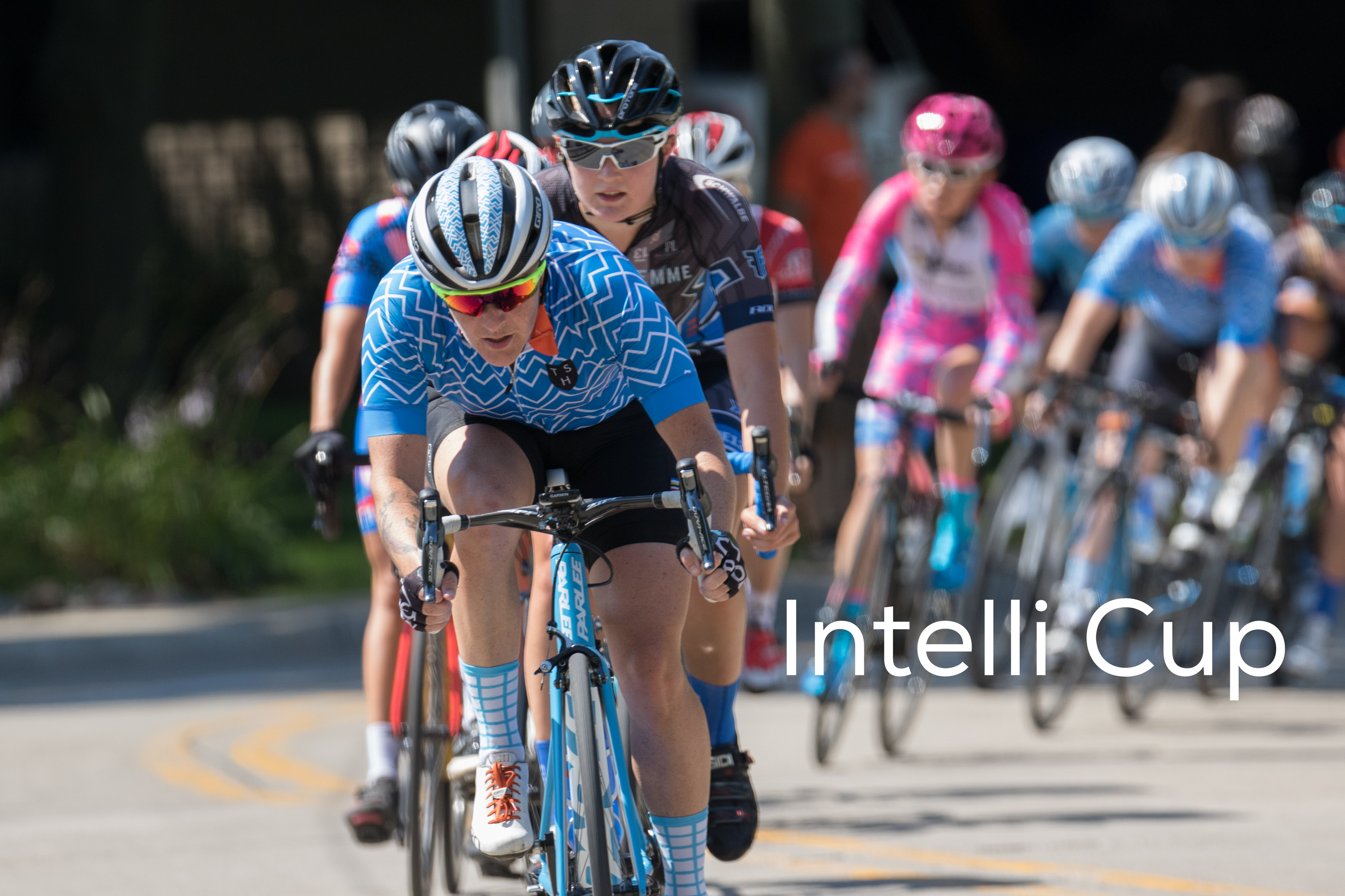 Intelligentsia Cup