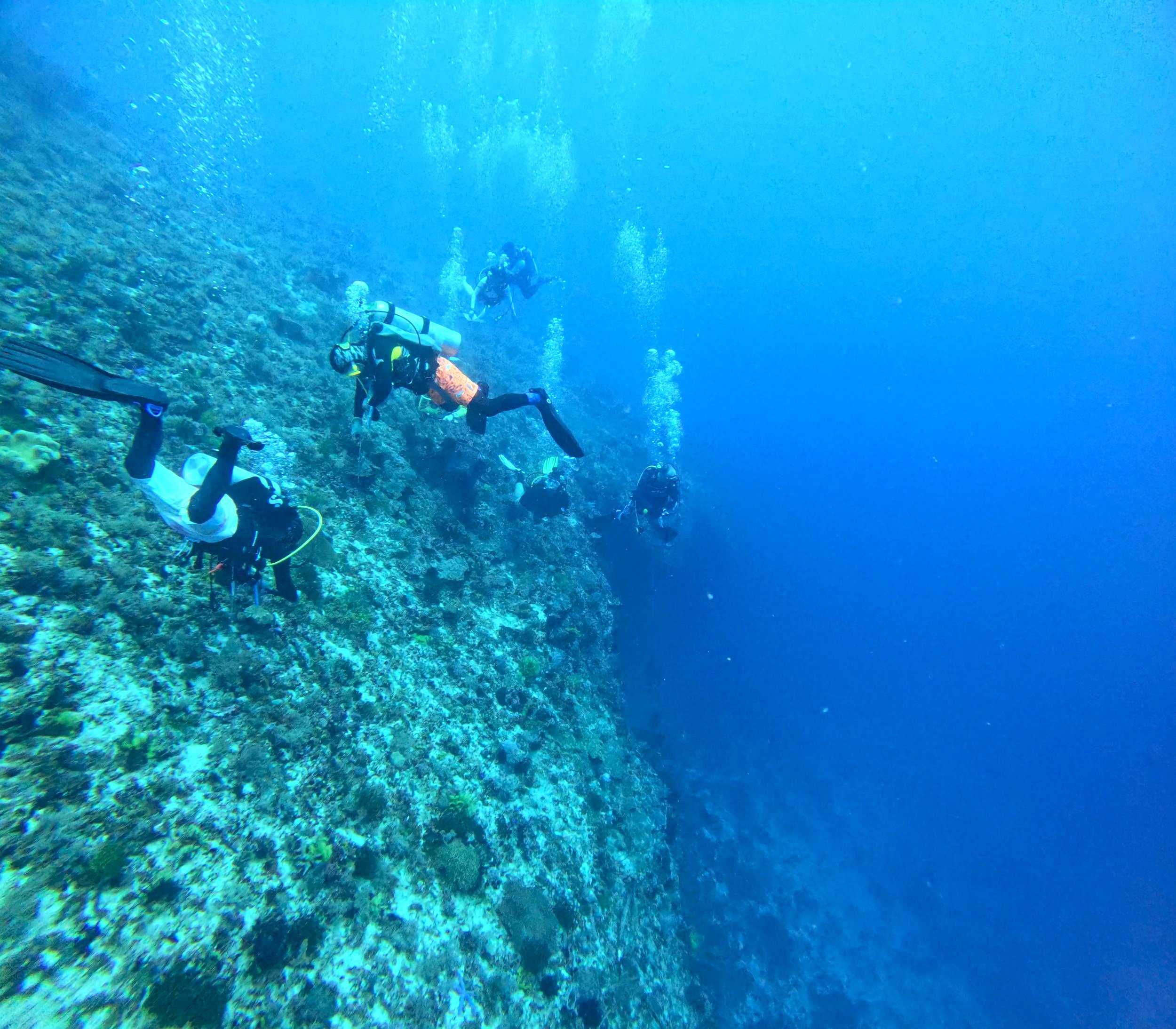 GOPR0981.jpg