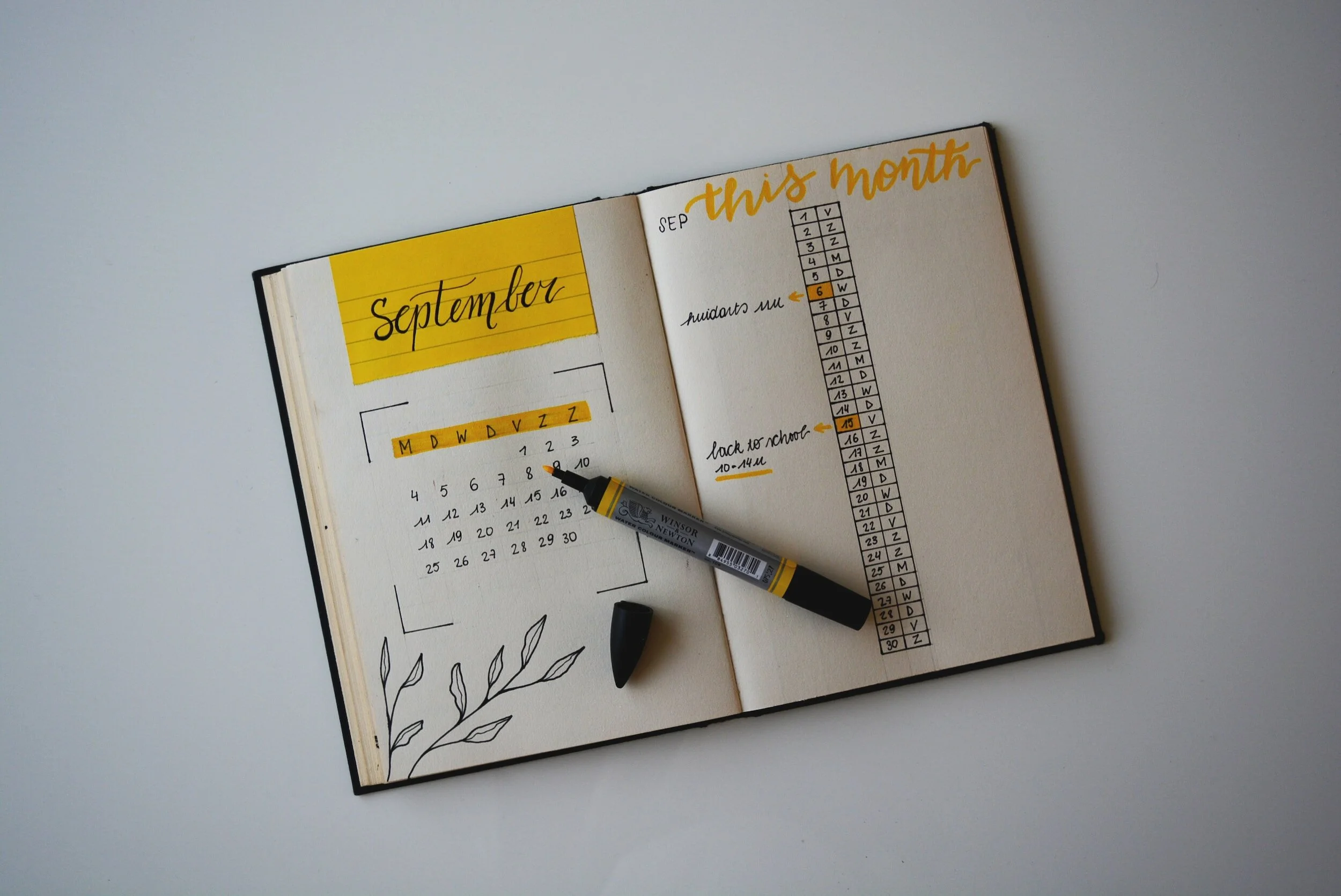 Bullet Journal Ideas for Beginners: Enhance Productivity and Organization