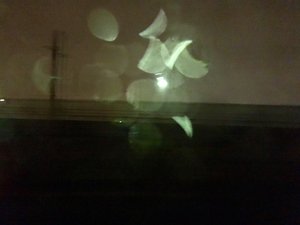 0005_IMG_0006.jpg