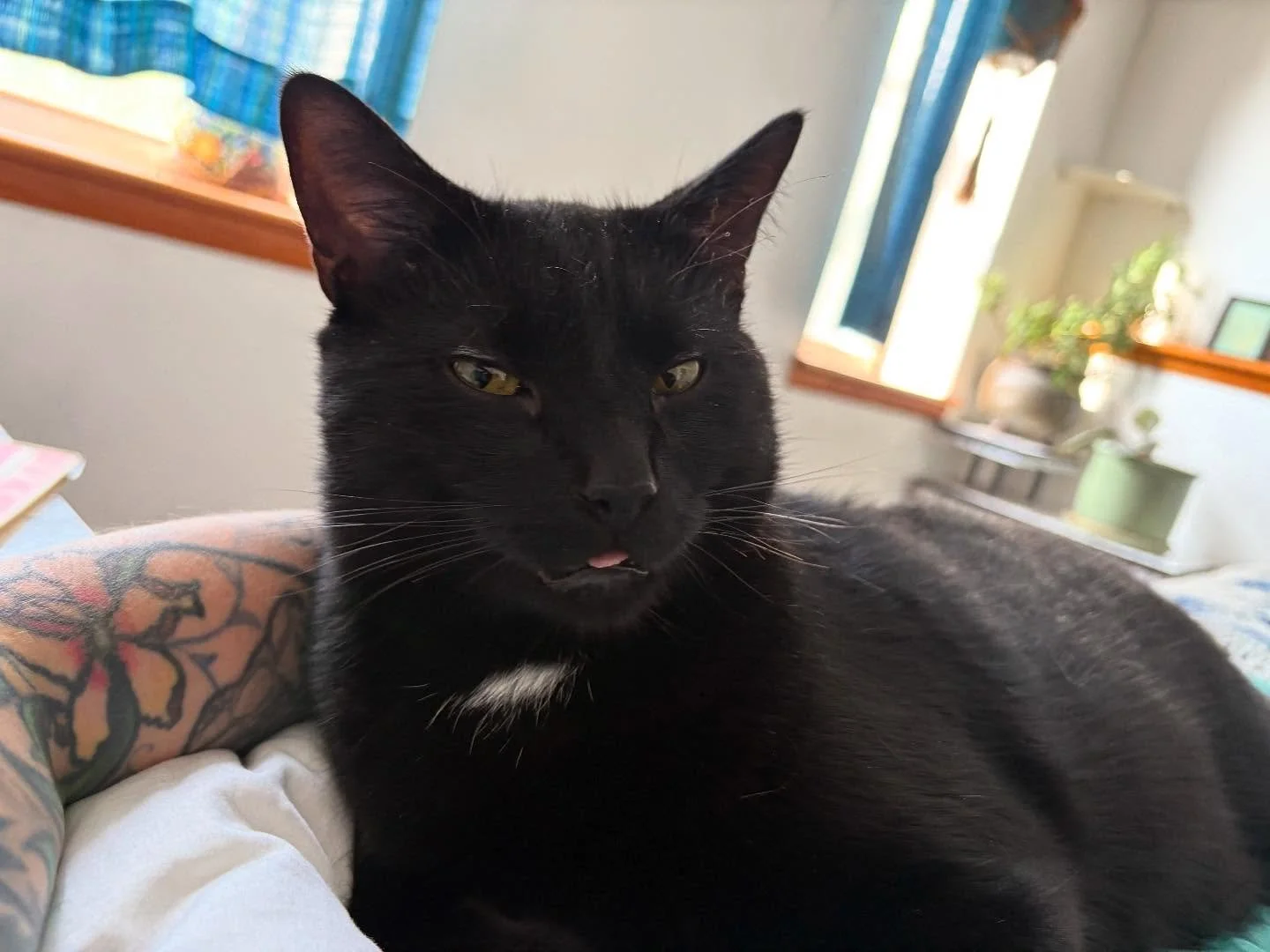 Wow Baltimore, you really showed up and I&rsquo;m looking forward to doing more events out here! I woke up to this handsome man today and am taking it easy before I fly back to the pnw tomorrow. I&rsquo;ll be back on my bullshit in the studio later t
