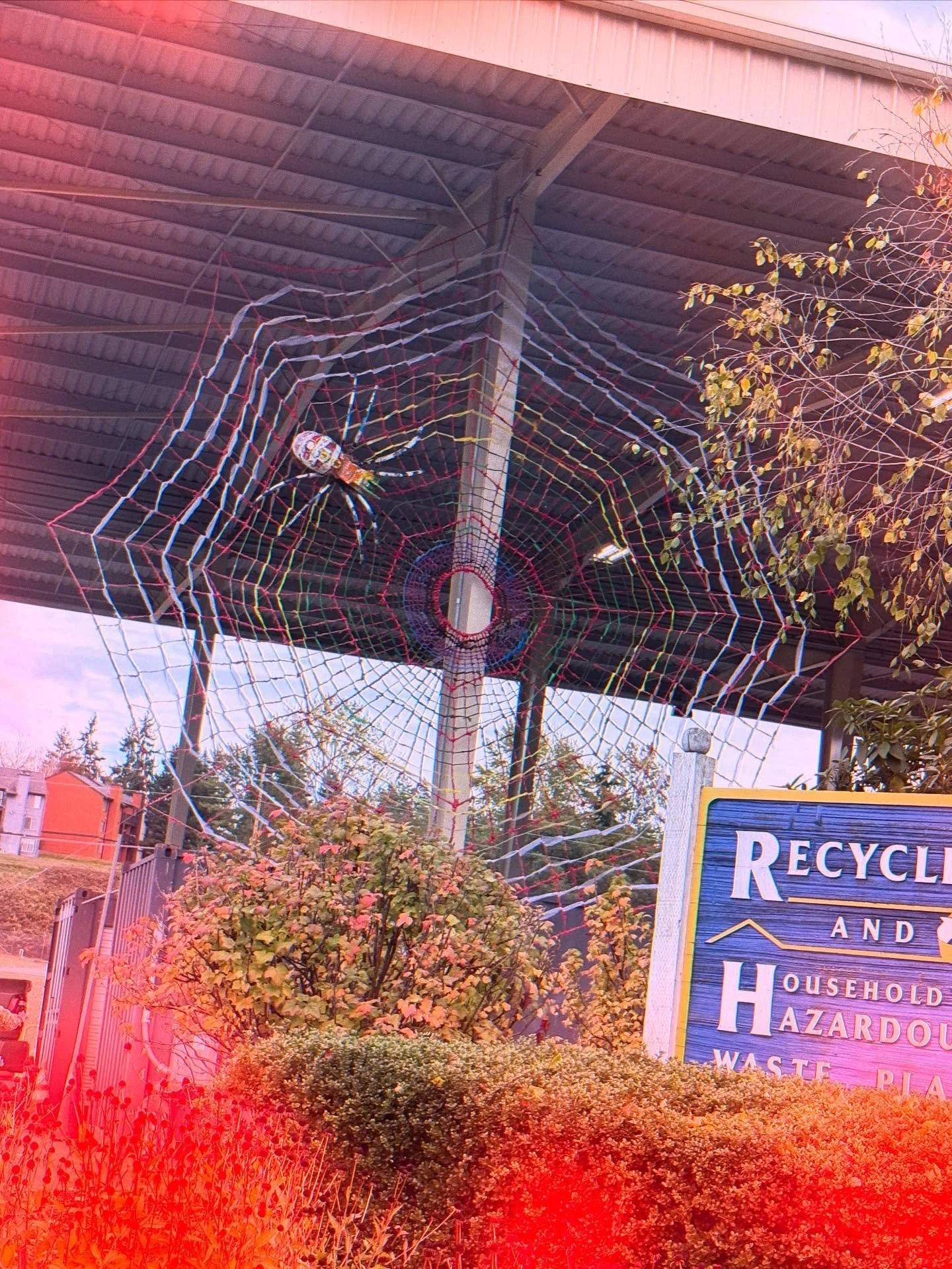 Thank you so much Seattle and Portland for another amazing Halloween season! Y&rsquo;all always come out and make the @odditiesandcuriositiesexpo so much fun! 

I&rsquo;m still recovering and doing some Halloween bullshit this week before I start pre