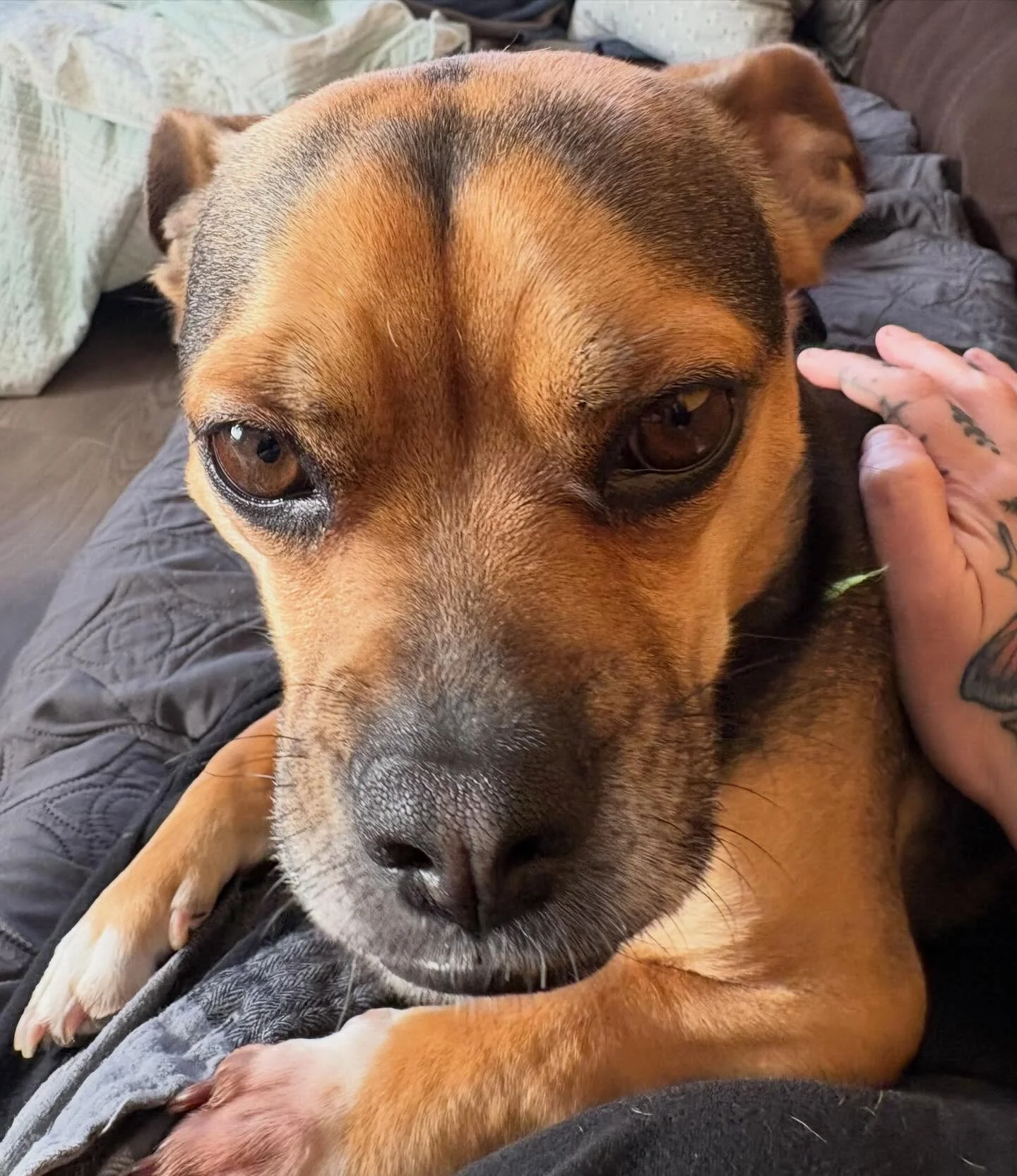 WOW PORTLAND! Y&rsquo;all showed tf up for yesterday&rsquo;s @marketofthebeast, it was such a good way to end the year! I am continually impressed how much folks have showed up this last year and supported us artists when we need it the most, I could