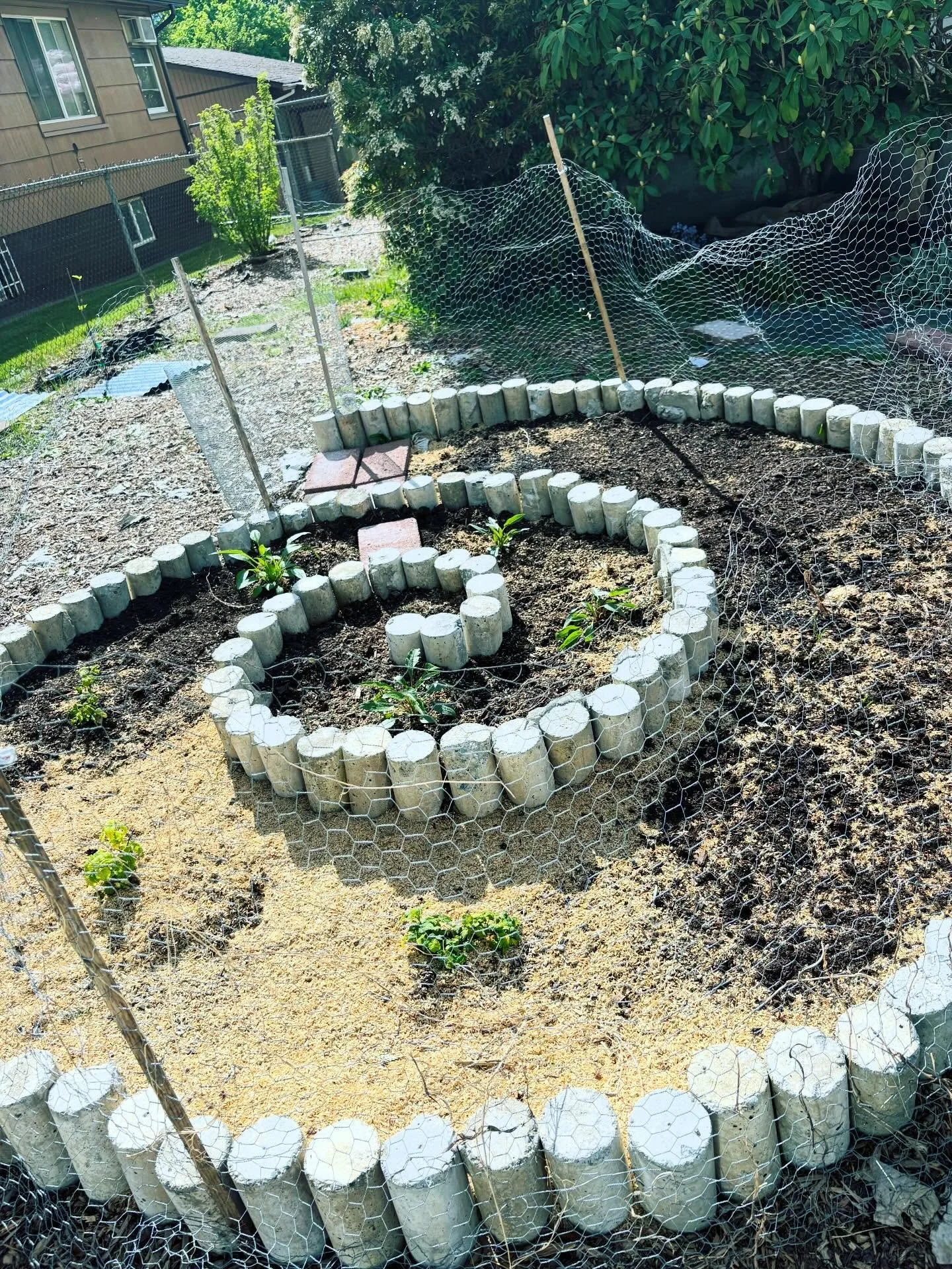 Wow Bellingham you always show up! Yesterday was so rad, thanks to the @wonderzmarket for another incredible event and for curating such an amazing community! 

I am relaxing today by playing in the garden. I have planted everything in my spiral bed 