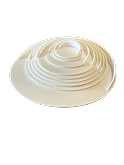 Close-up of concentric circular white seashell.