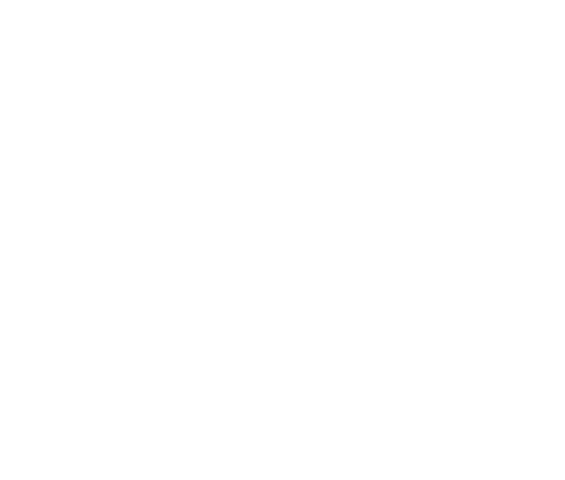 Swisspath Tag logo