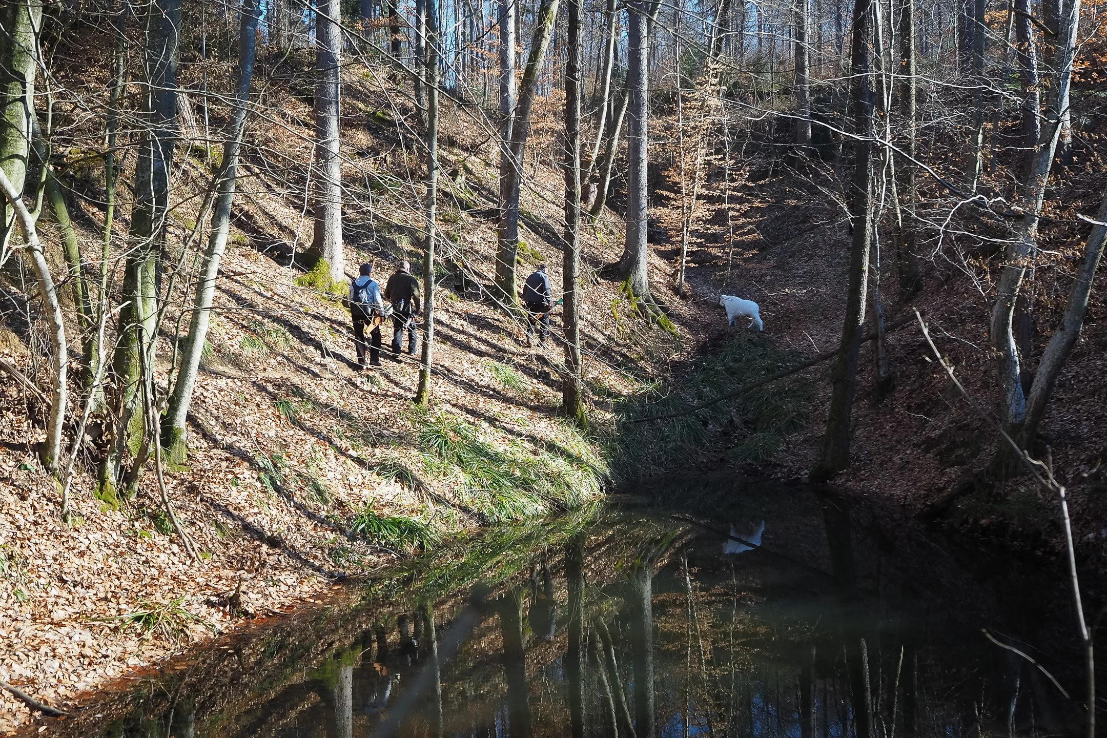 Winter Round 26-33.jpg