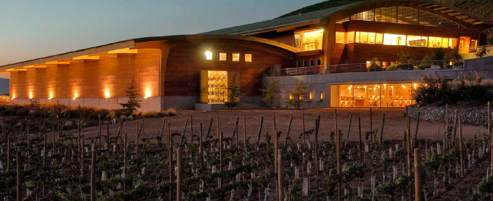Monkey Business: Food & Wine - Vina Chocalan Chile