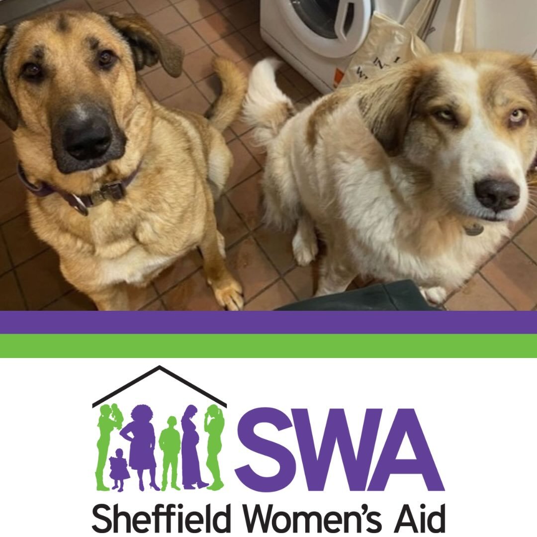 At SWA we understand the special bond that people have with their pets. We know our furry little friends, like the ones you see now, are who help us through the hard times.

We also know that pets are often used by perpetrators as a tool of coercive 