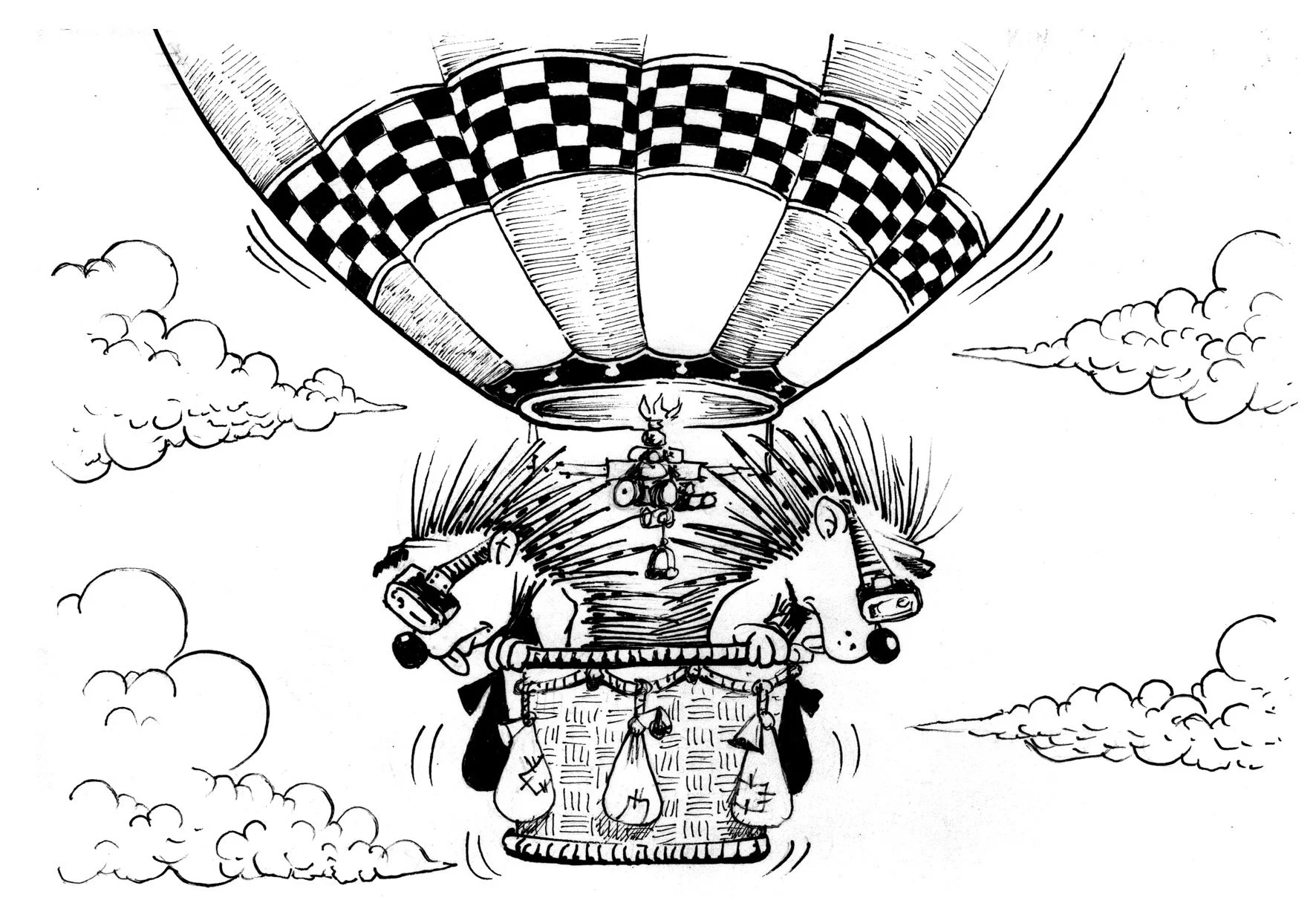 Do You Ever Feel Like a Porcupine in a Hot Air Balloon?