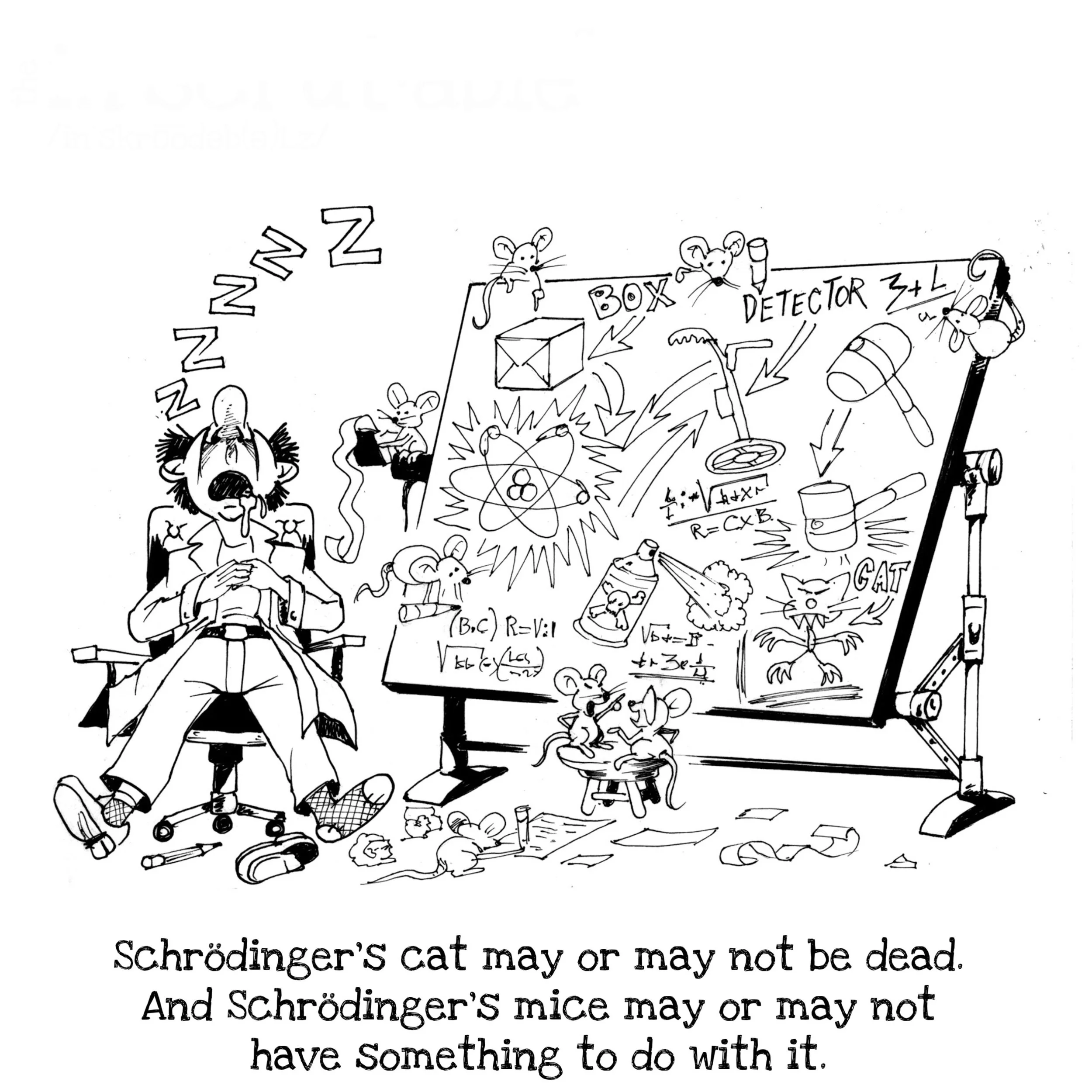 Schrodinger1.jpeg
