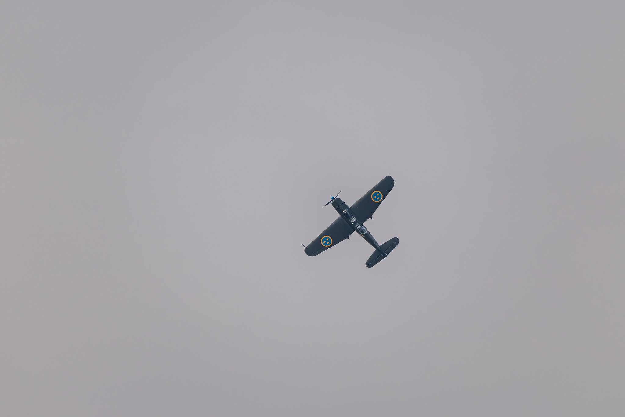 Flygplan - 20260822.png