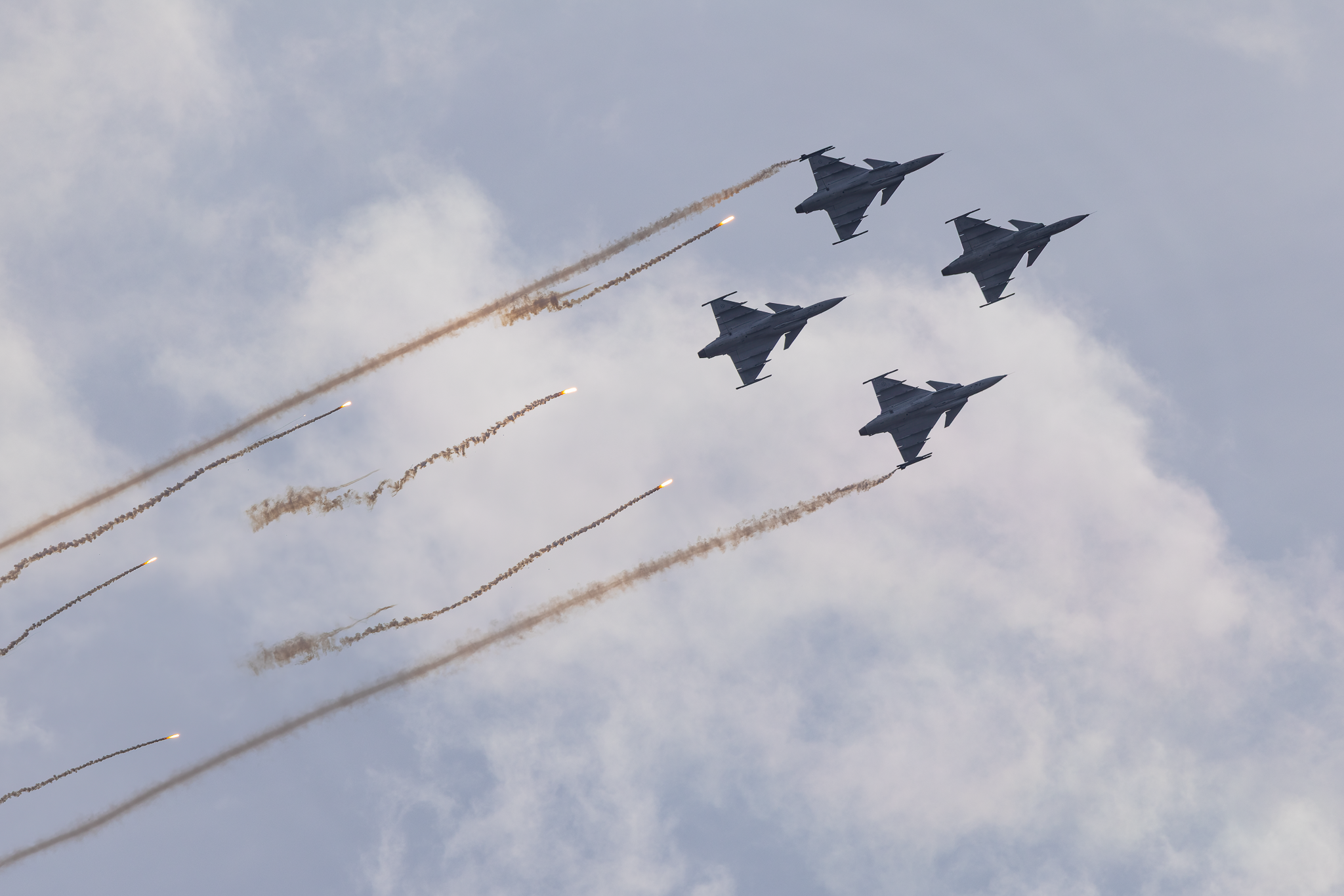Gripen - 20260822.png