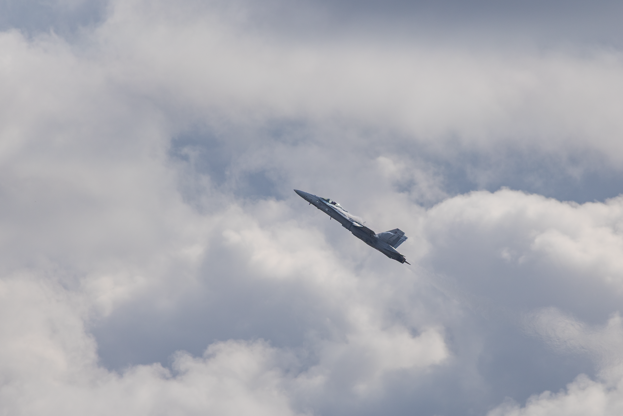 F18 Hornet - 20260822-4.png