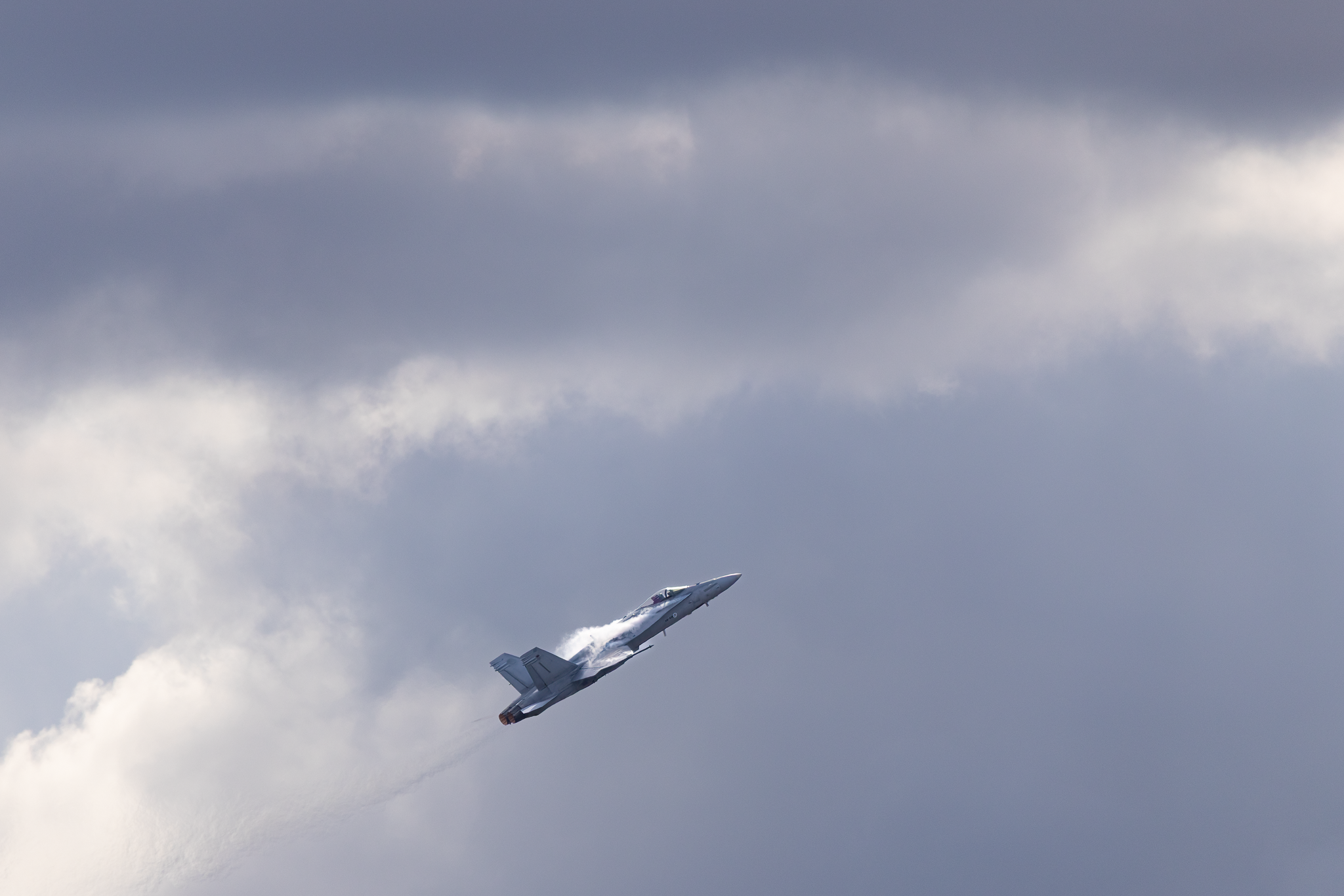 F18 Hornet - 20260822-5.png