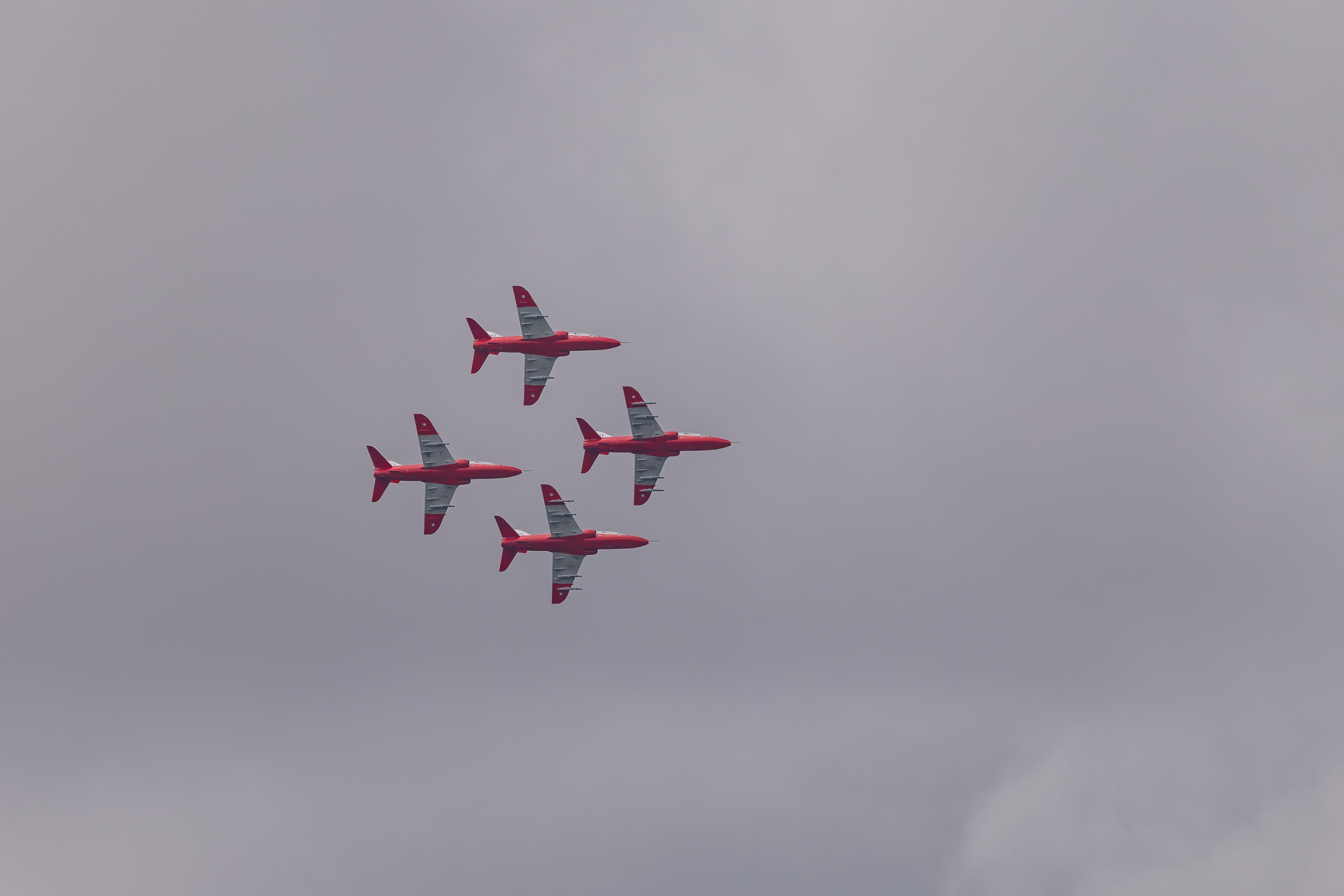 Midnight Hawks - 20260822.png