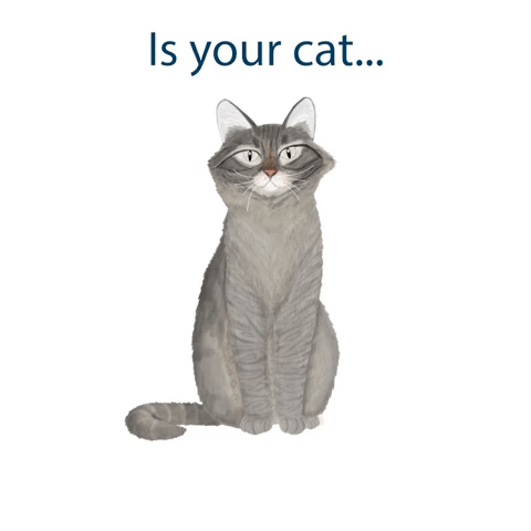 Hand Illustrated Animation SM Sample_Cat Of The Month.GIF