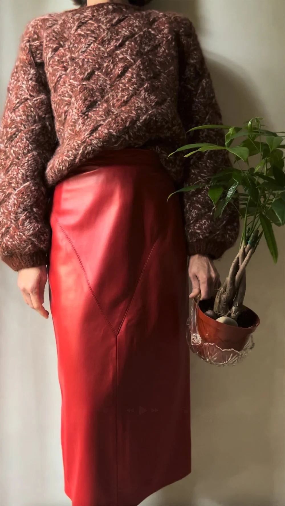 A woman wearing a brown sweater and a red leather skirt, holding a potted plant with green leaves and a twisted trunk, standing against a plain background.