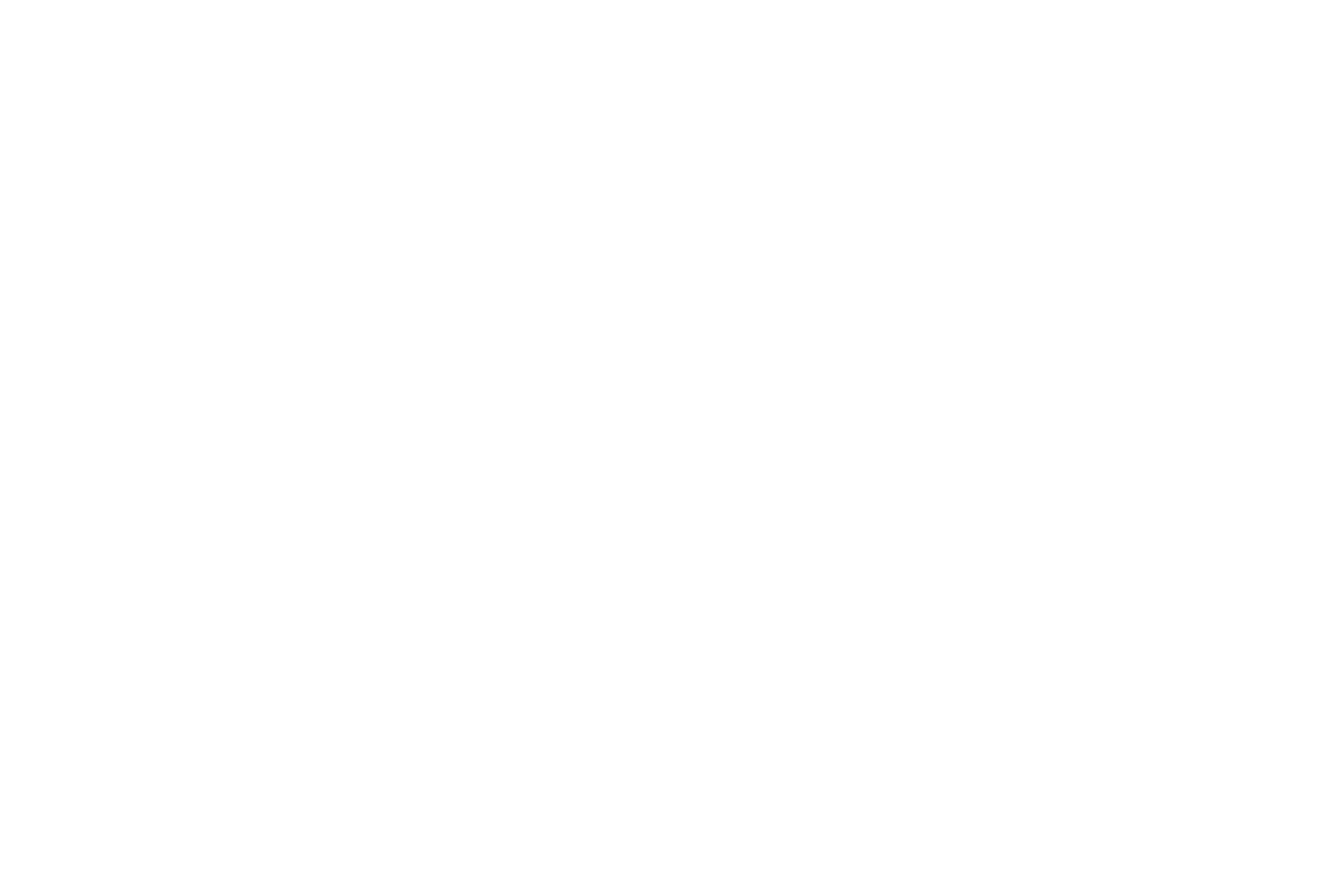 15.png