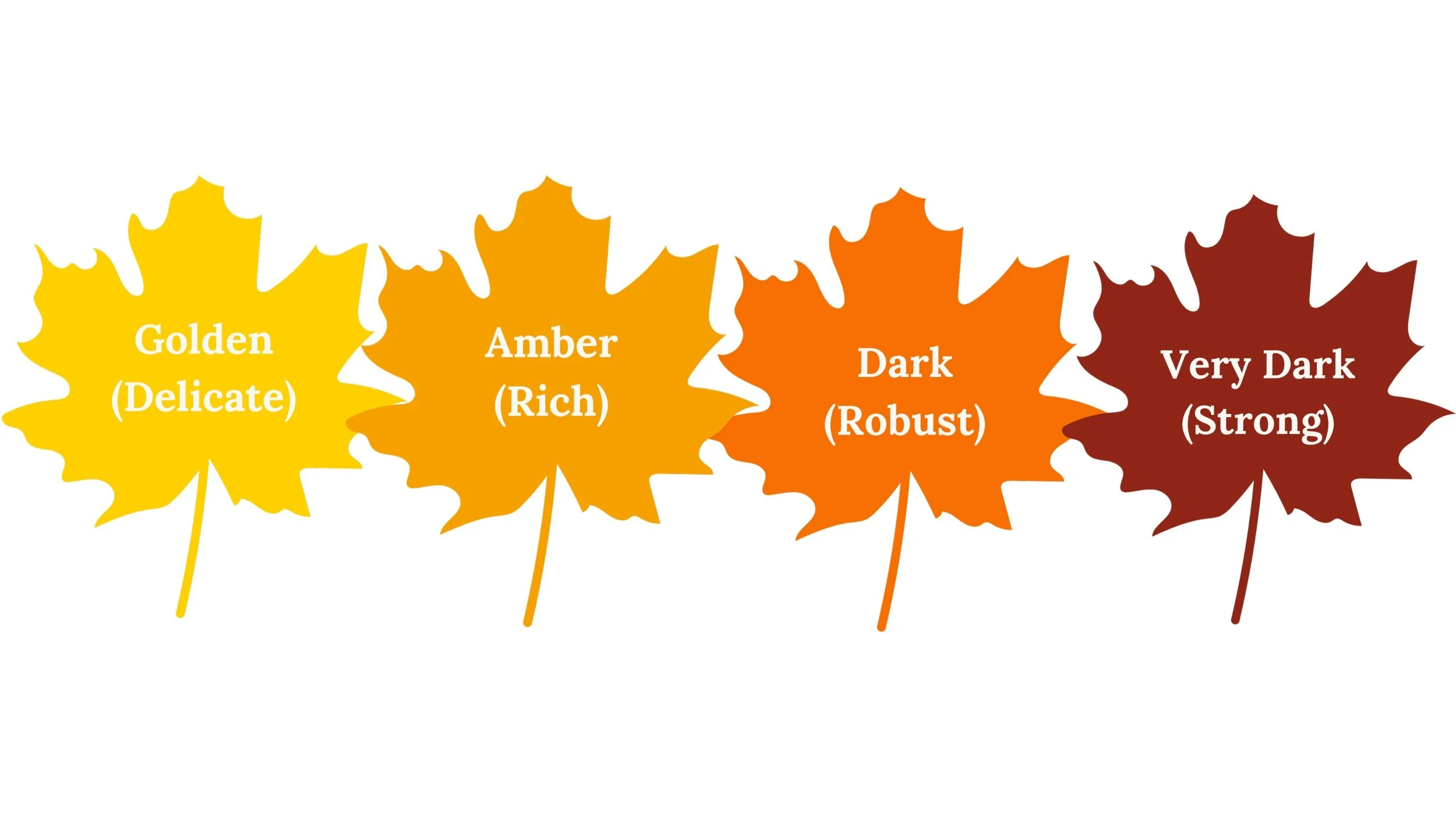 Maple Syrup Grading System — Bender Hill Maple
