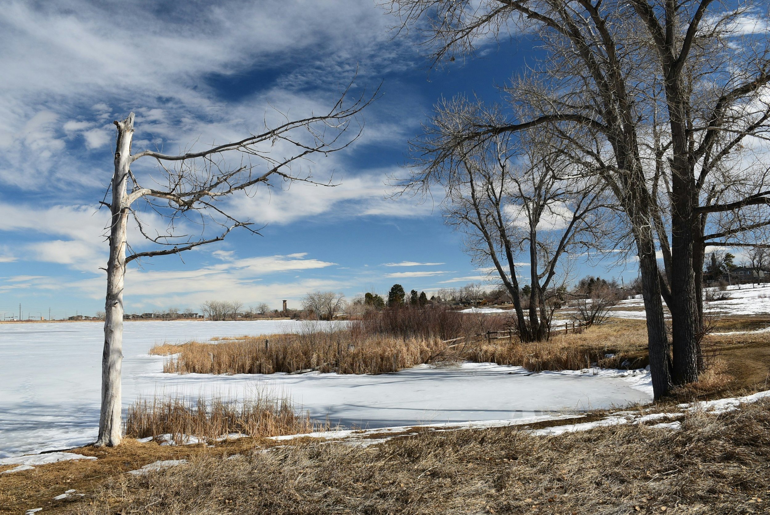 Gas Fireplace Repair Littleton: A Complete Homeowner Guide