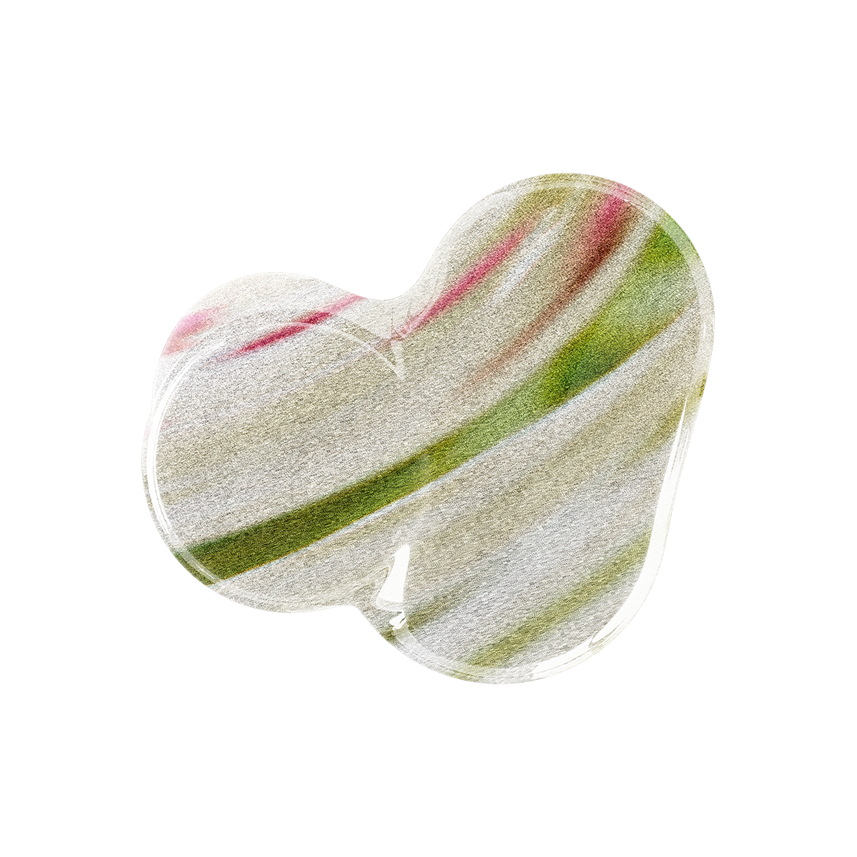 HONEY WATERMELON