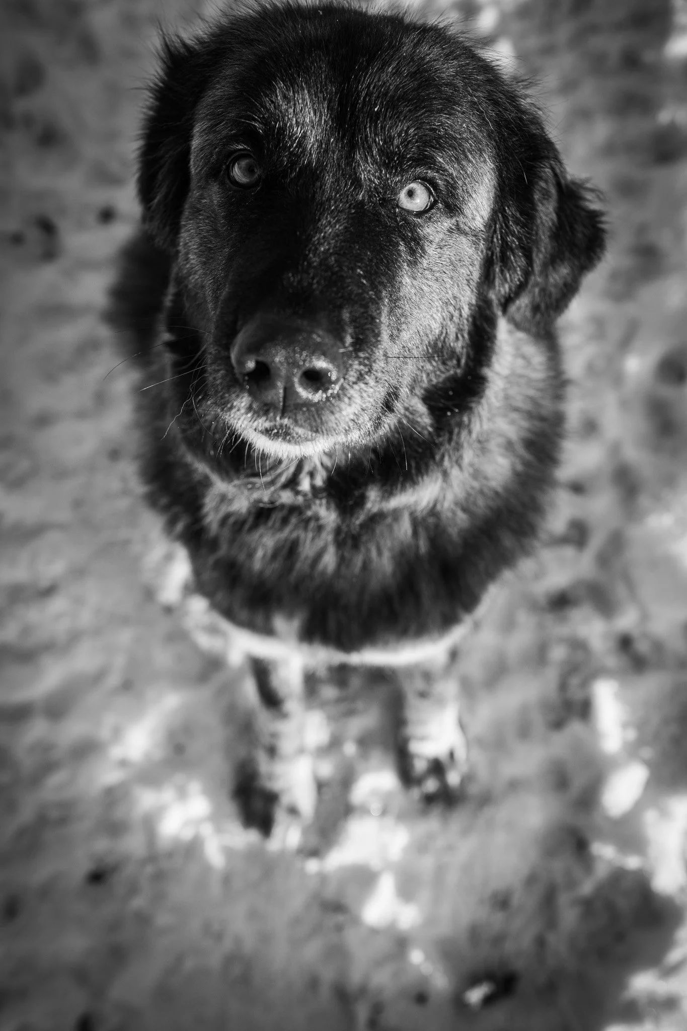 DSC_6195.jpg