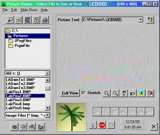A computer screen displaying an old Windows picture viewer window with a picture of a green palm tree against a sandy background. The viewer shows file directories, image files, and controls for navigating images.