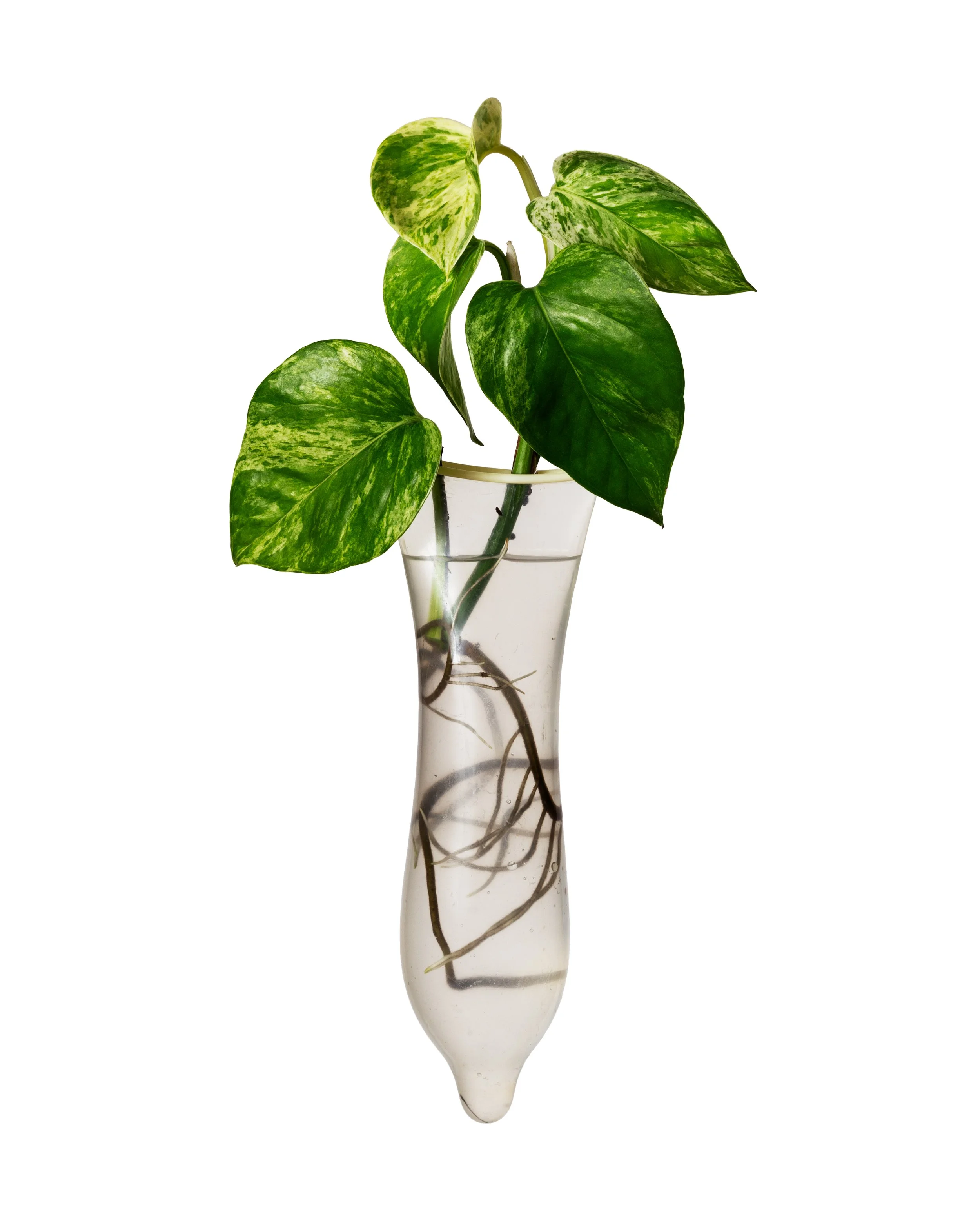 PROPAGTION_MG_1718-edit.jpg