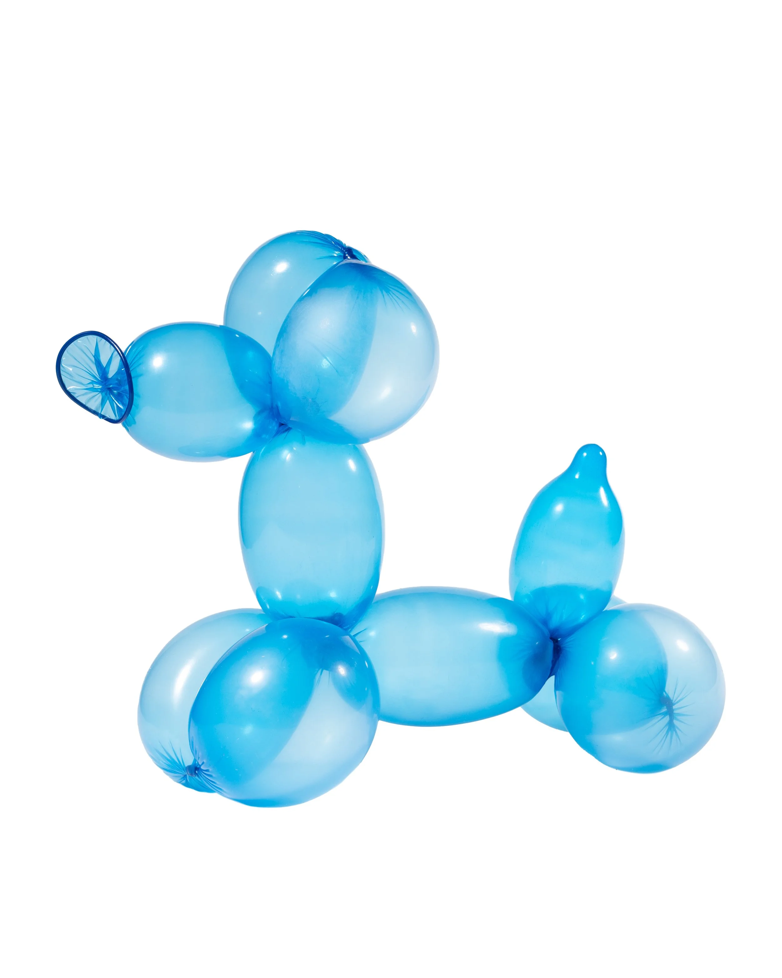 BLUE BALLOON DOG_MG_2123-Edit.jpg