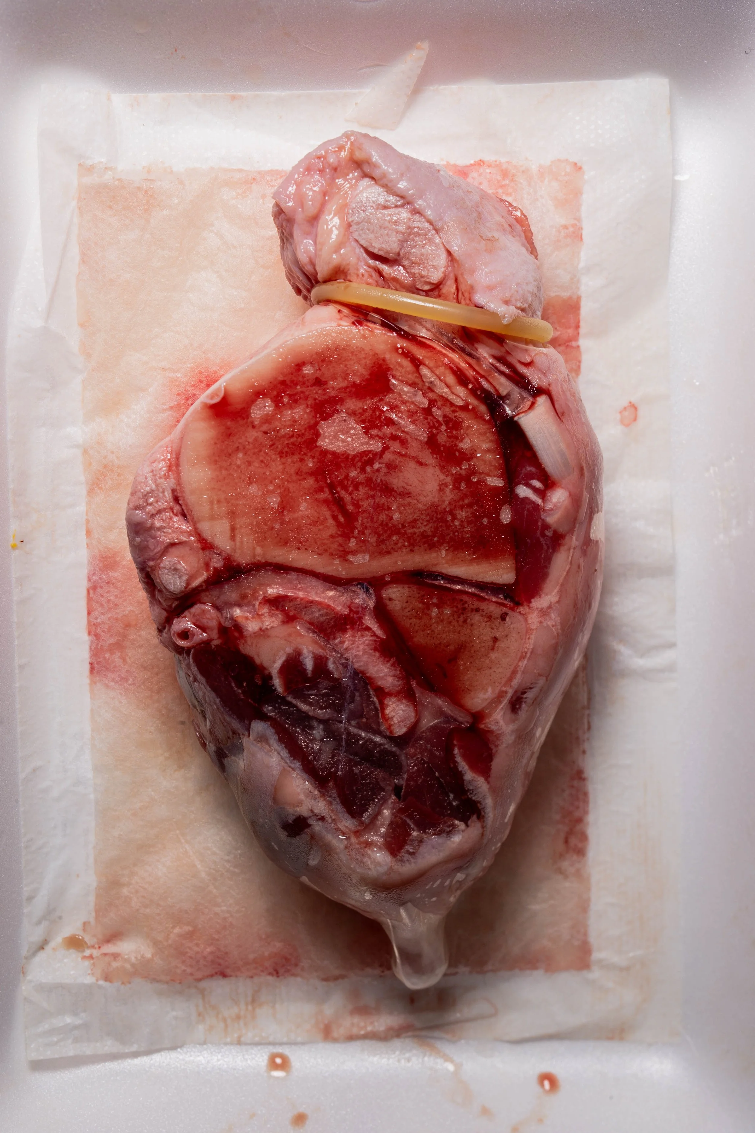 Beef Shank-7983.jpg