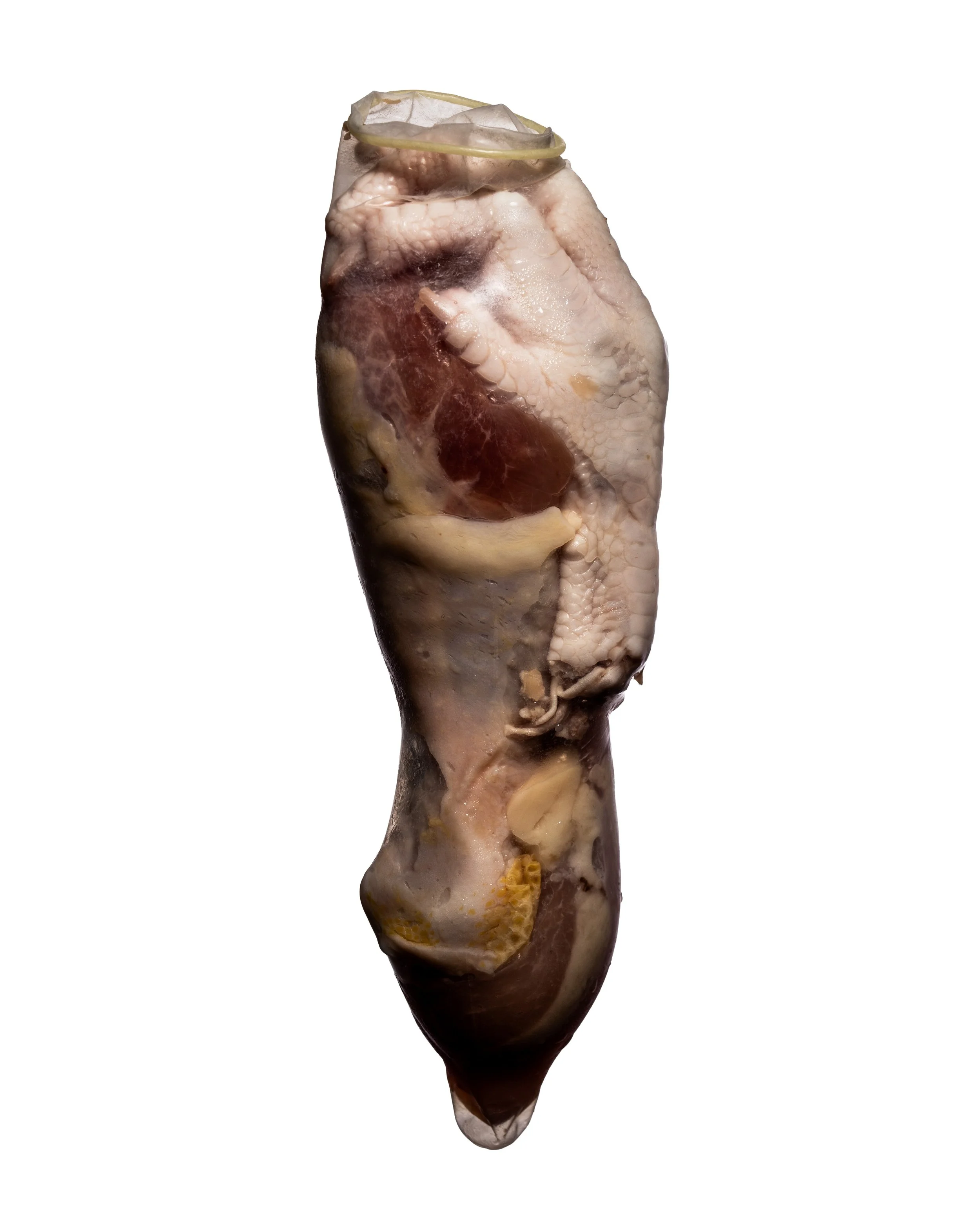 Chicken_MG_7957.jpg