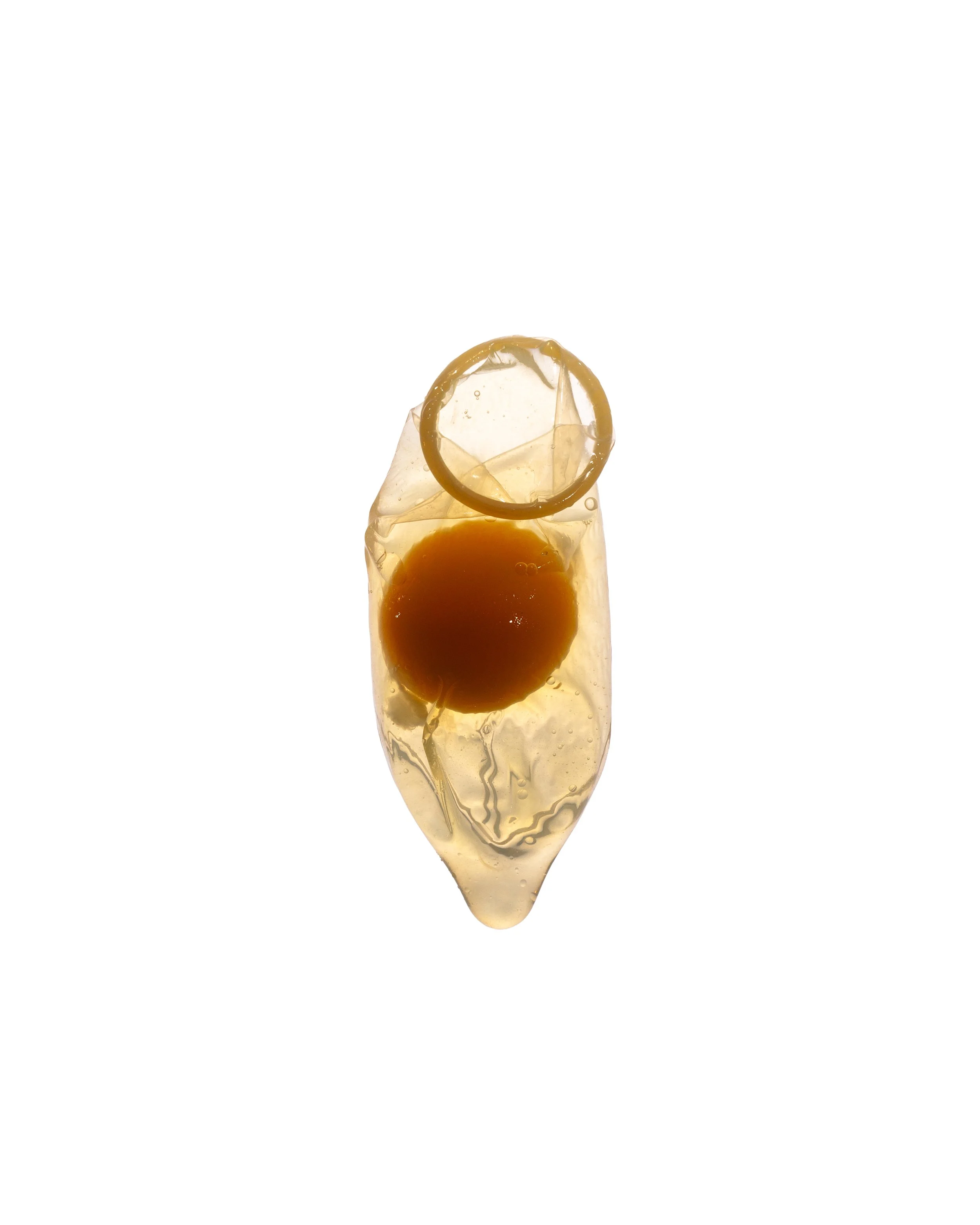 EGG YOLK_MG_7081.jpg