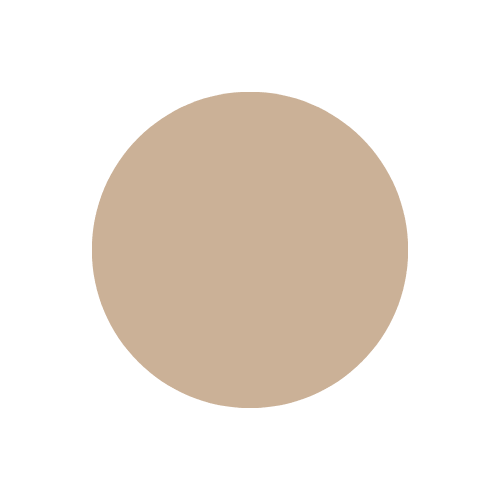 Solid khaki colored circle.