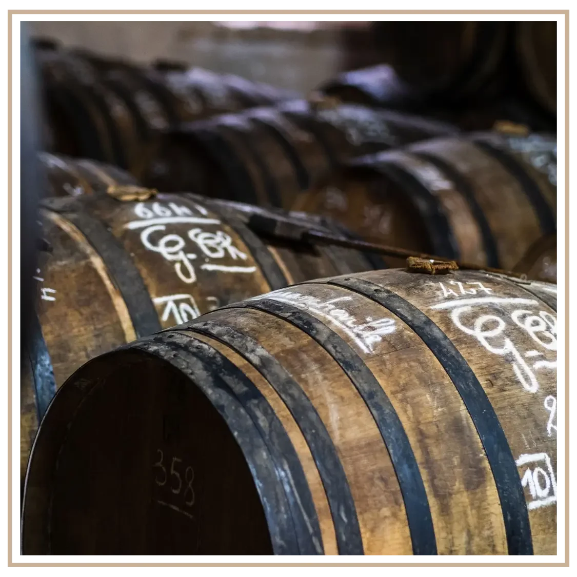Experience exclusive wine tastings and private estate cellar tours in Bordeaux, France. Plan your bespoke French wine journey with Denise Kubica.