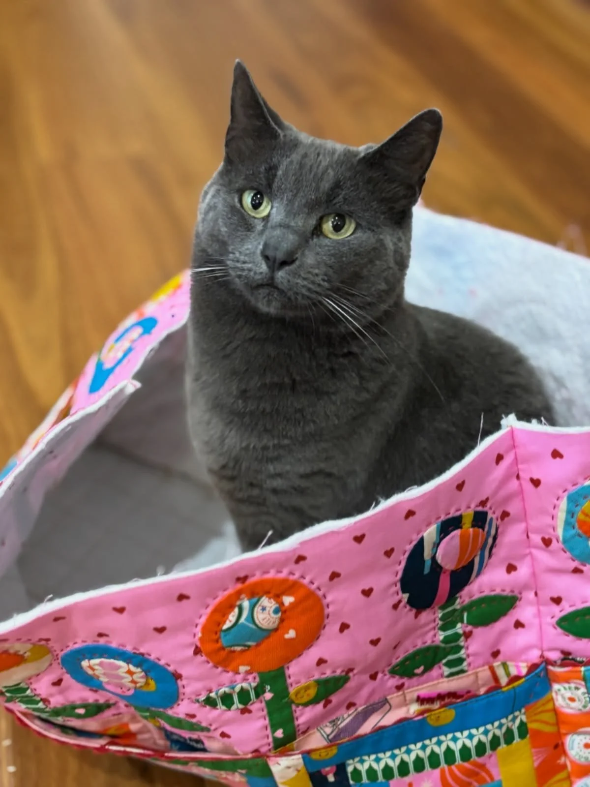 If I fits, I sits! 🐈&zwj;⬛

My little Audrey girl has tested the fit of my upcoming Poppies for You bag and has given it her stamp of approval. She thinks you&rsquo;ll love it as much as she does. 

Make sure you&rsquo;re signed up to my newsletter 