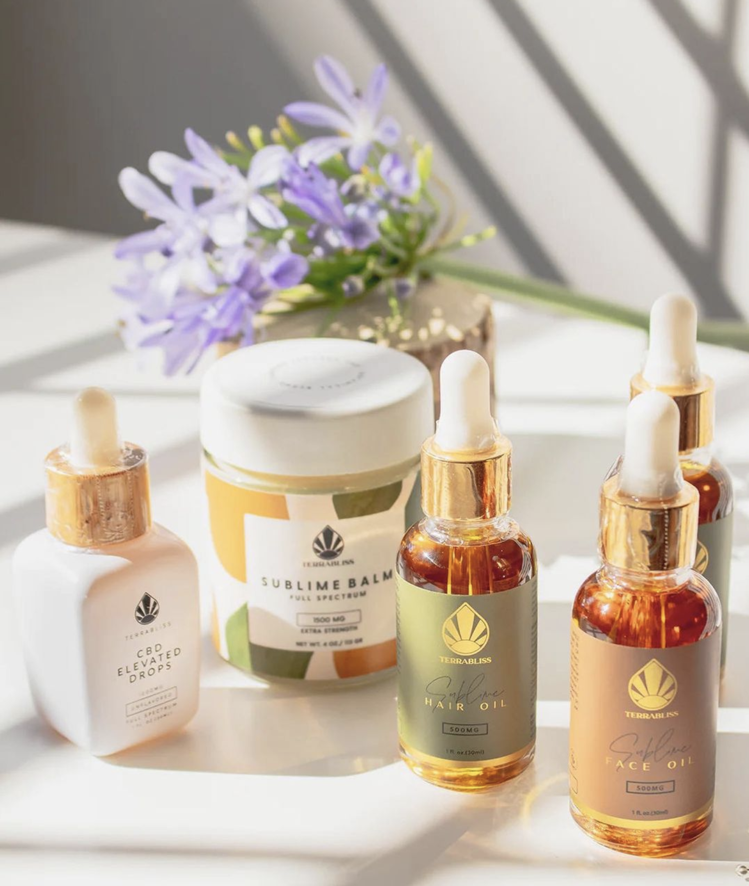 Screenshot 2023-08-06 at 11.18.21 AM.png