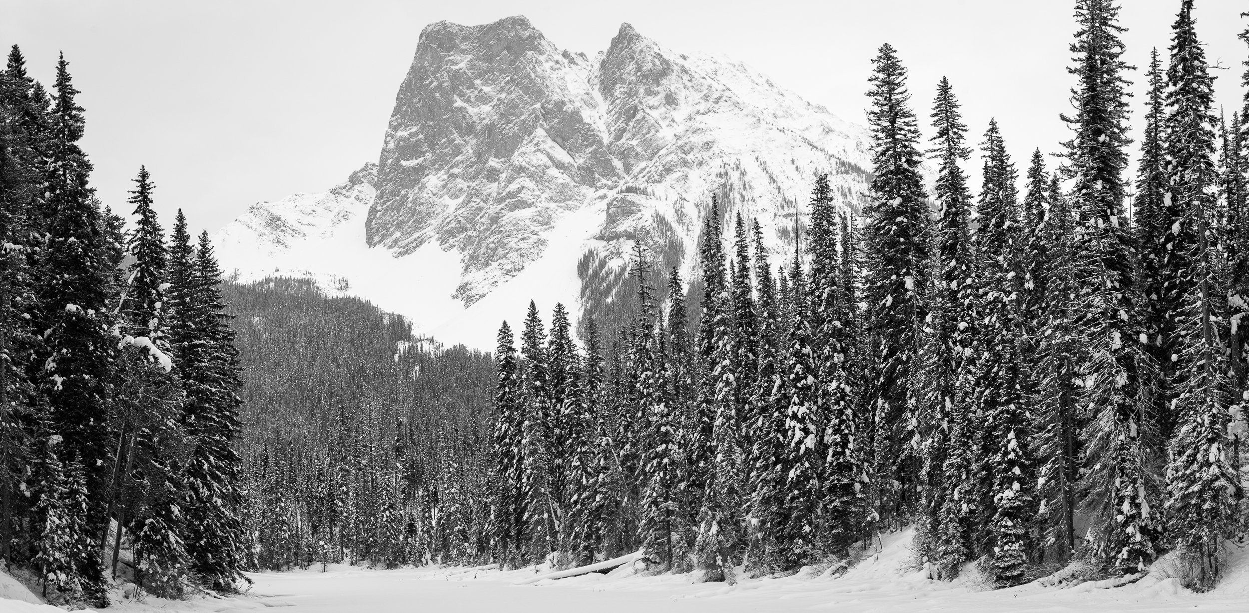 PWebster-20250121-10.12.47-Pano.jpg