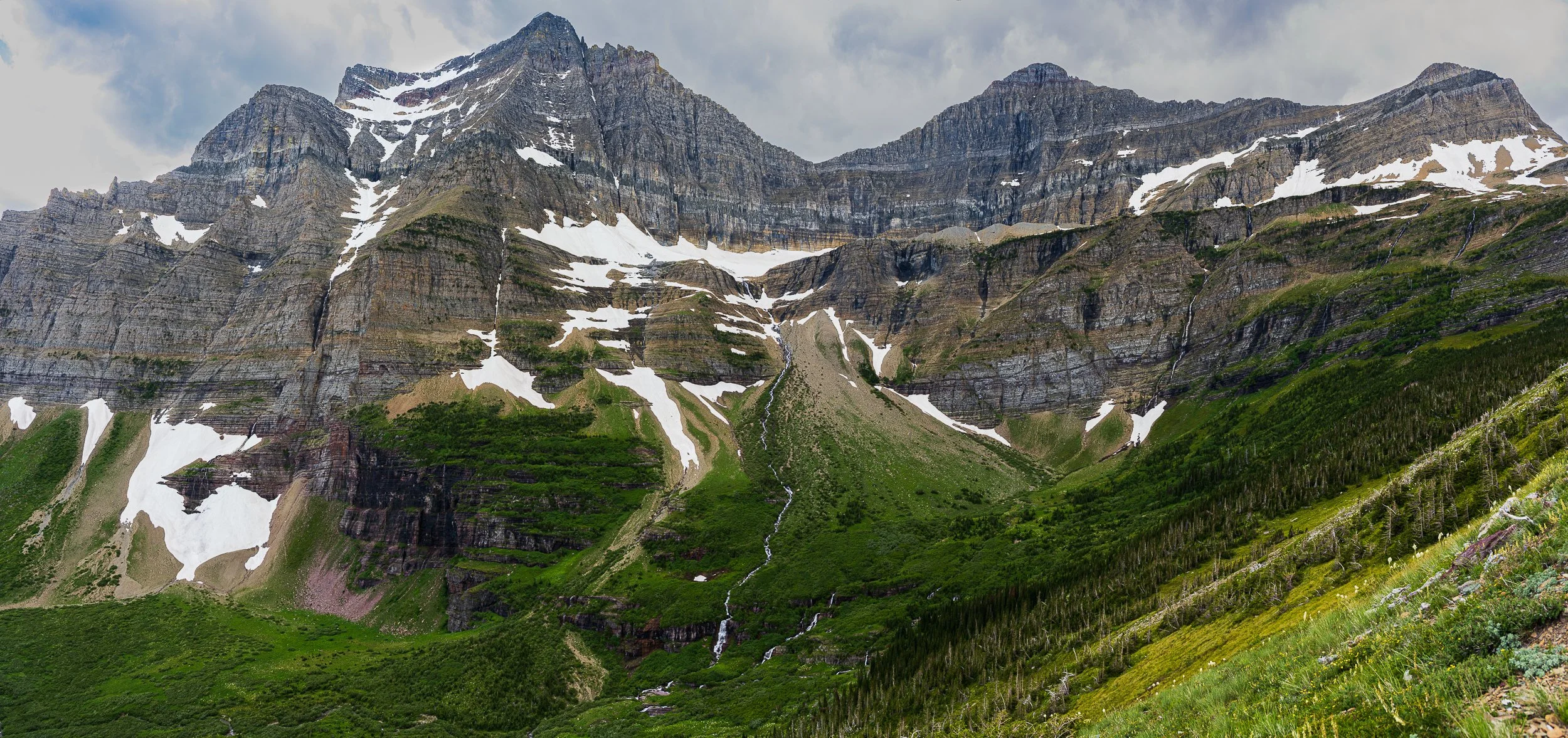 PWebster-20250626-16.20.31-Pano.jpg