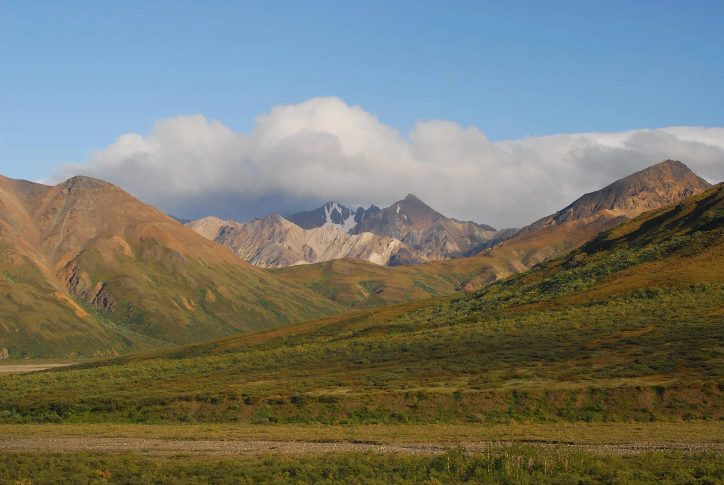 DSC_6390.JPG