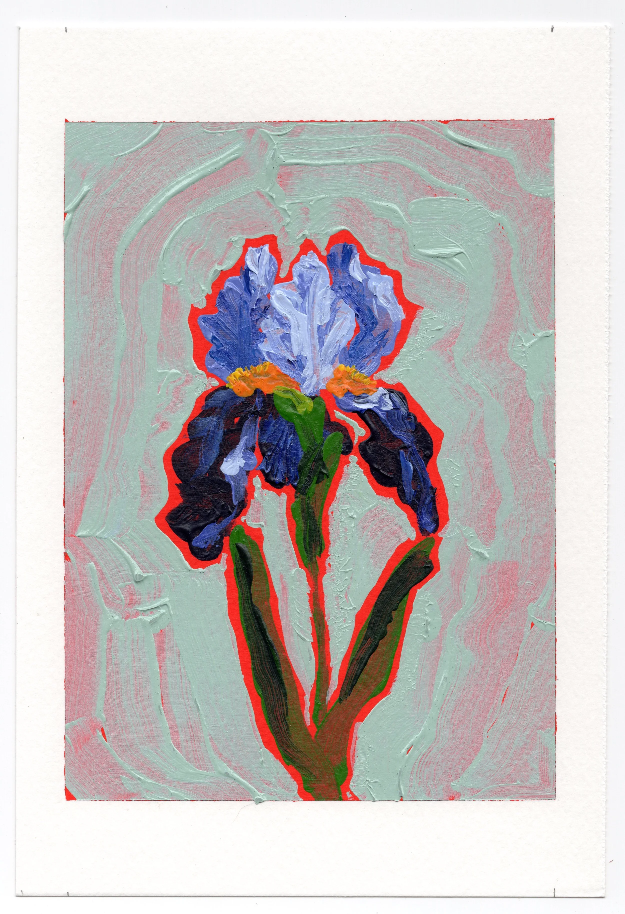 February 2 - Blue Iris